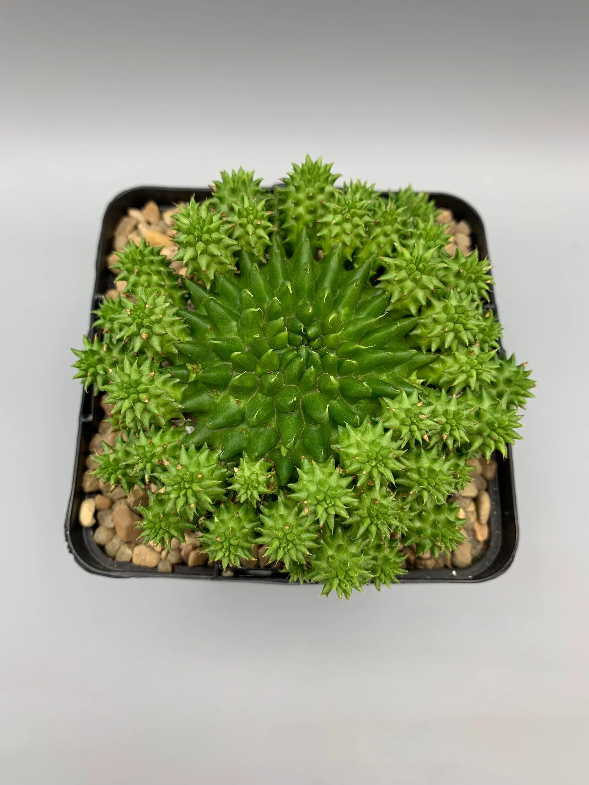 DD814567-ADFA-41CB-A639-1418C3787D60