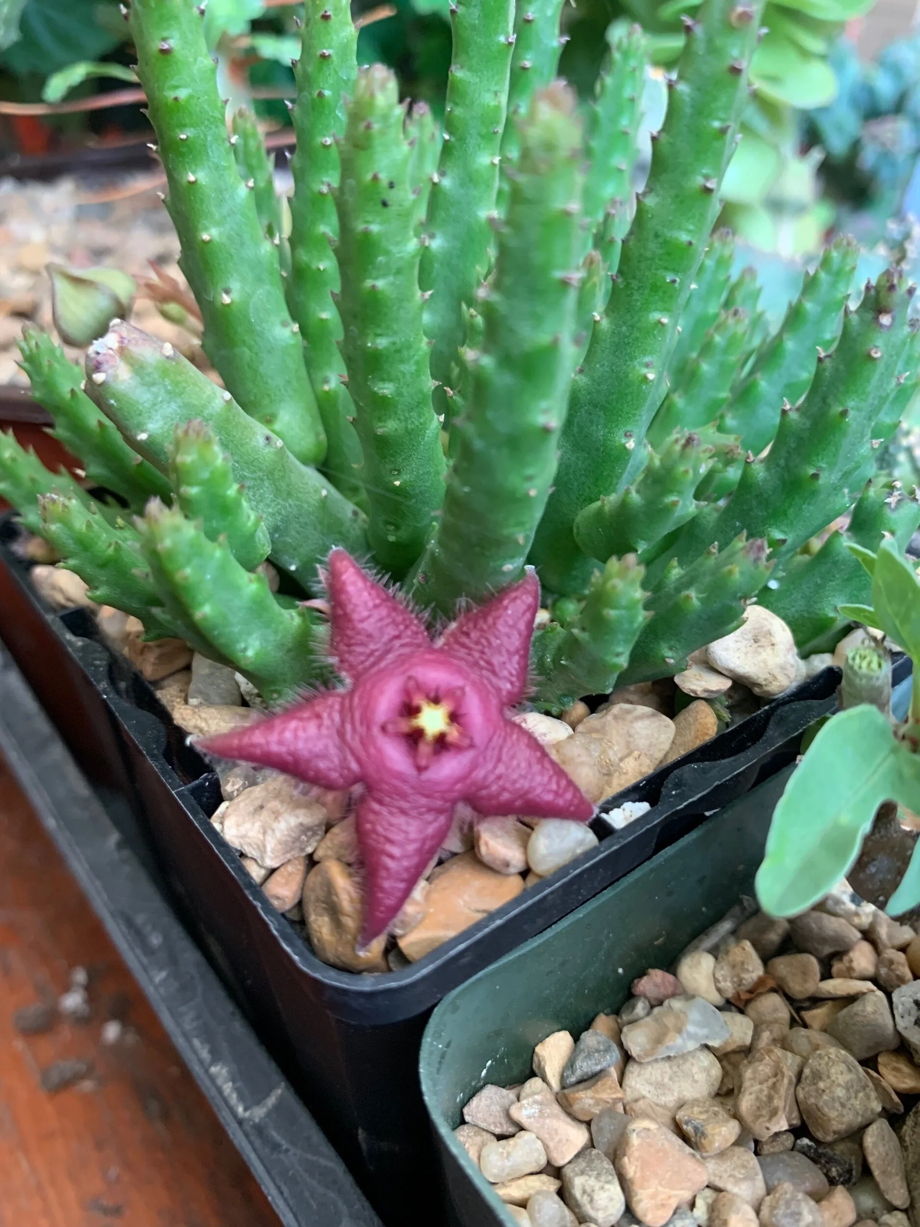 B12202AC-05E1-4ED9-A1D3-3CDF83888835