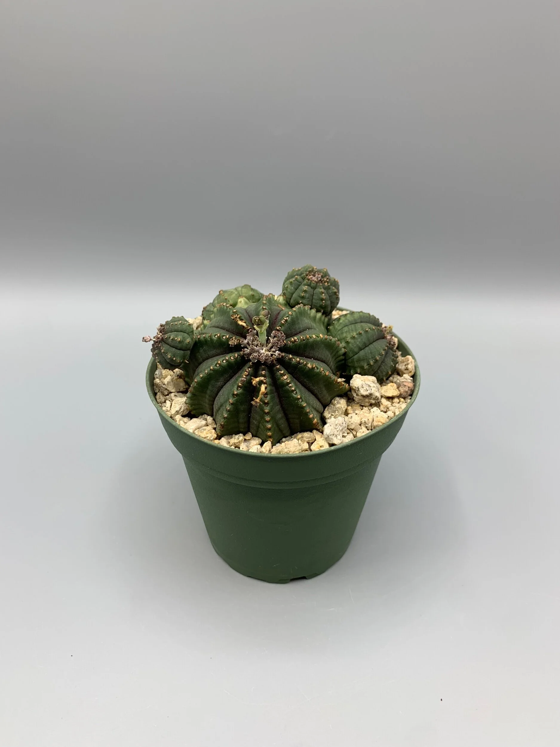 CE38EF96-3B68-41A4-8BA3-C38E1D321FE9