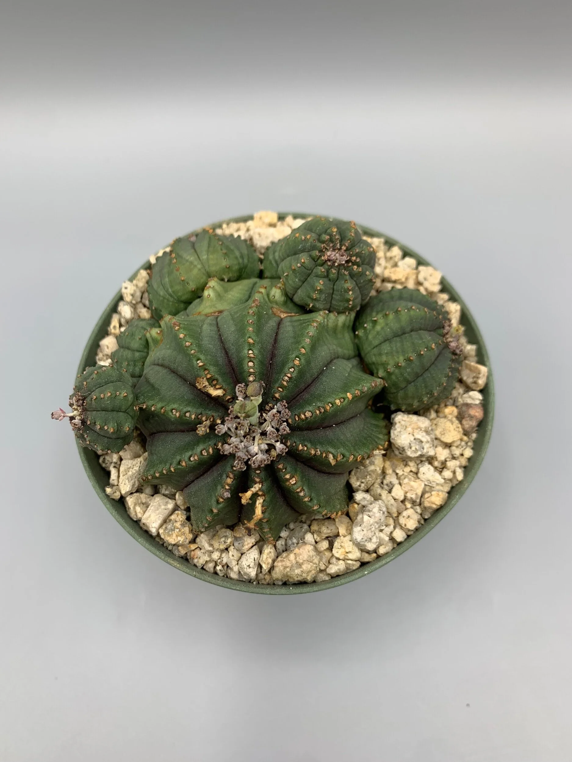 8B87BDE4-BFAC-4BD9-9A00-F9E95EFCA80A