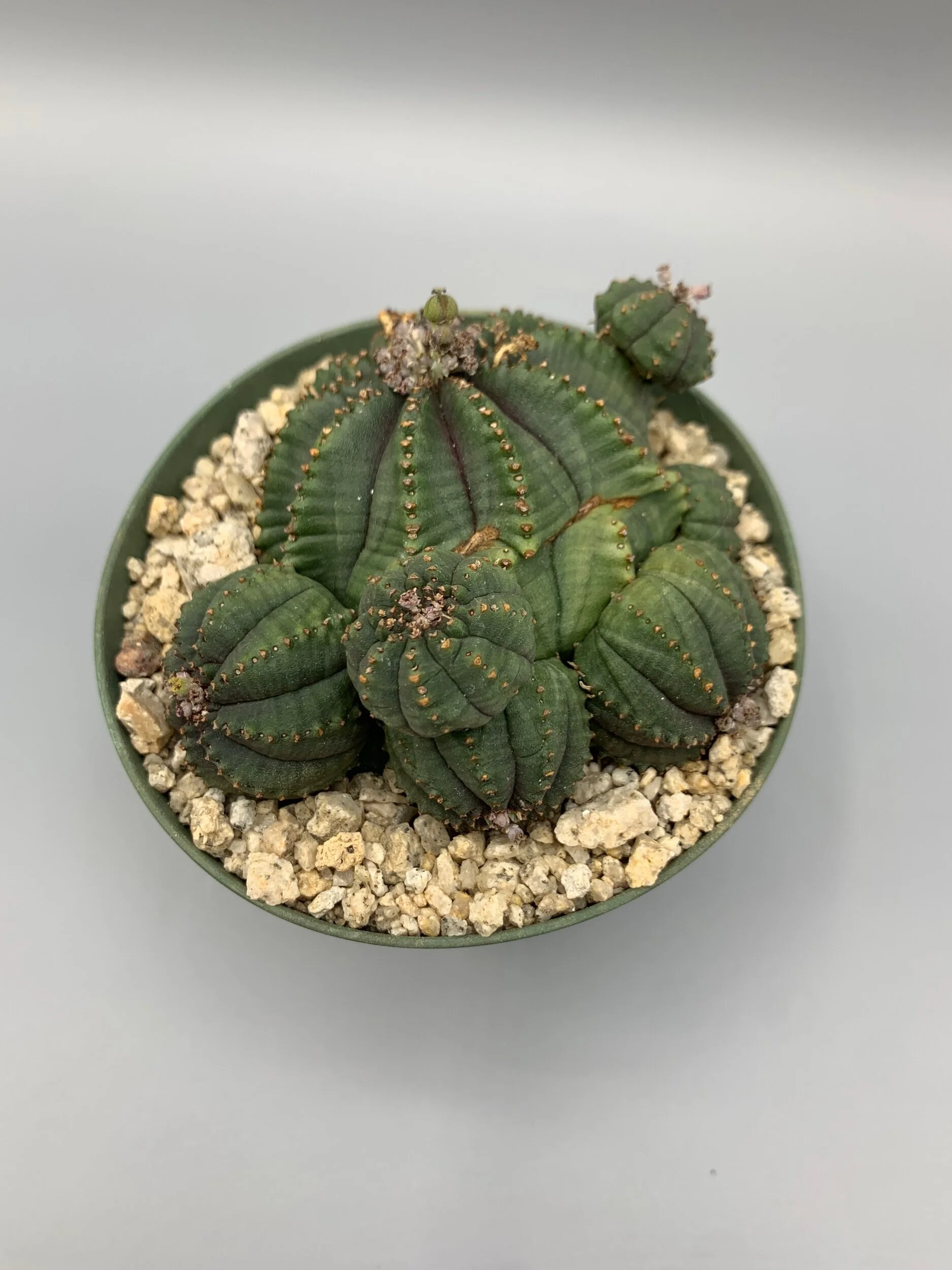 75291333-381C-4E3D-8001-D2389C4D170D