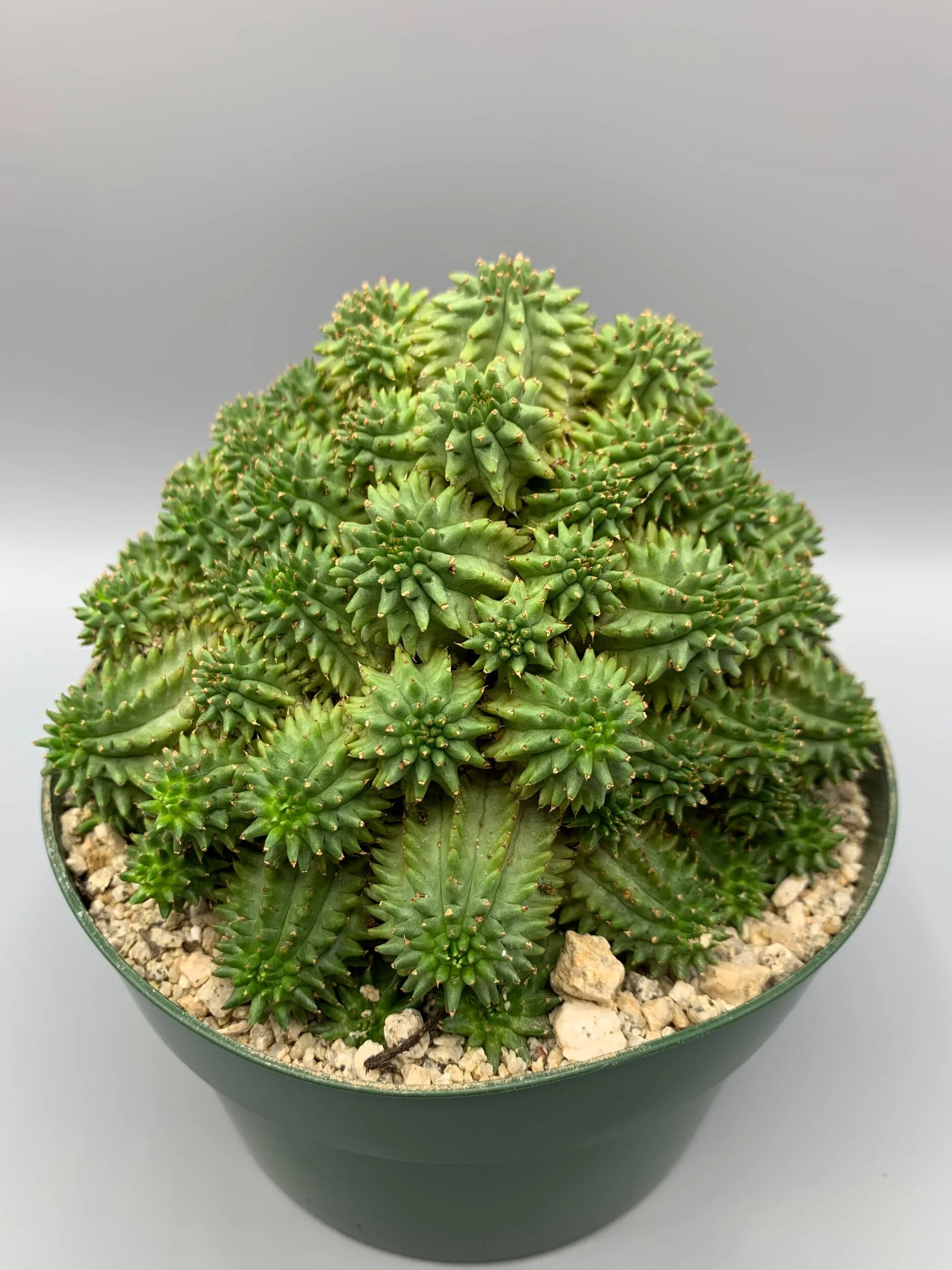 0FF9C5D9-441E-4114-BF4E-C0A5E3FC64C0