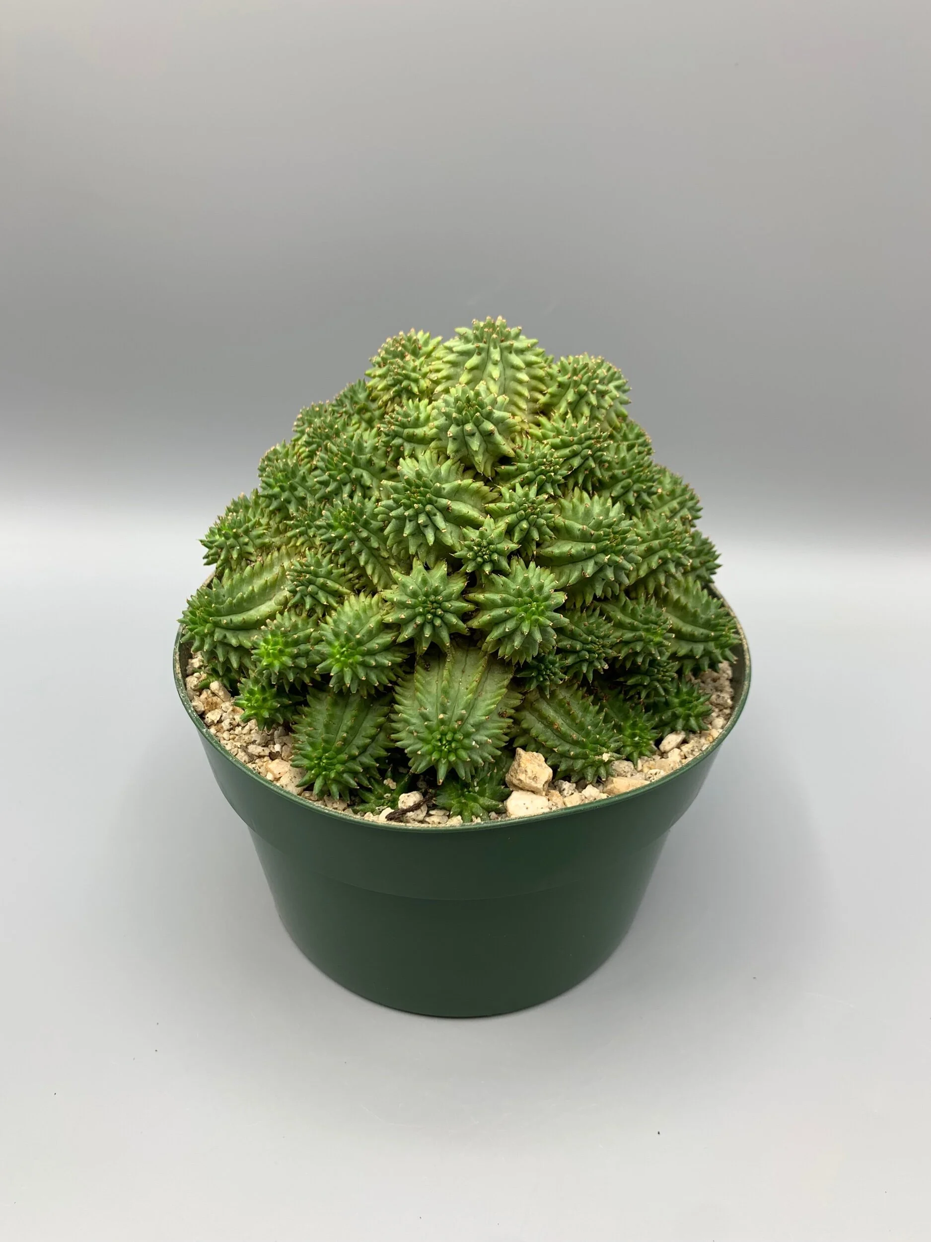 318C1FF6-62B0-4E29-8342-5E4B0D673B2F