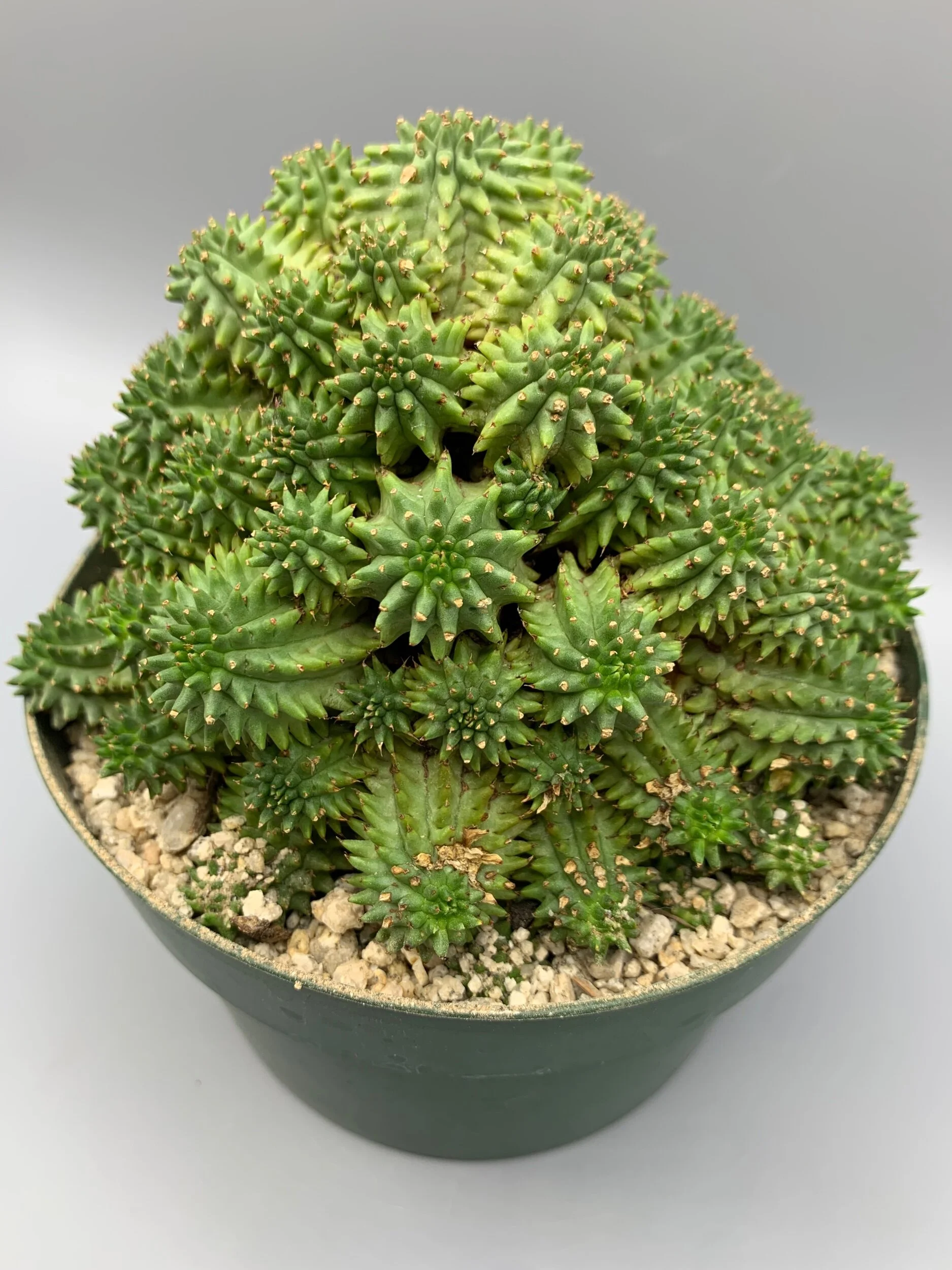 0C5772C3-DC90-4693-971D-3E6558469522