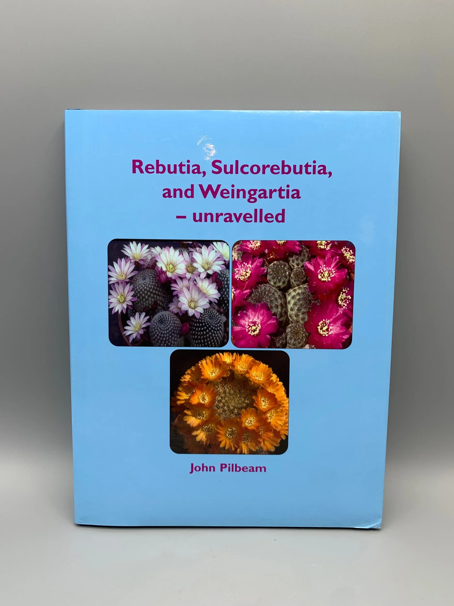 35CAA29F-5613-45FC-83B0-2C35698453E8