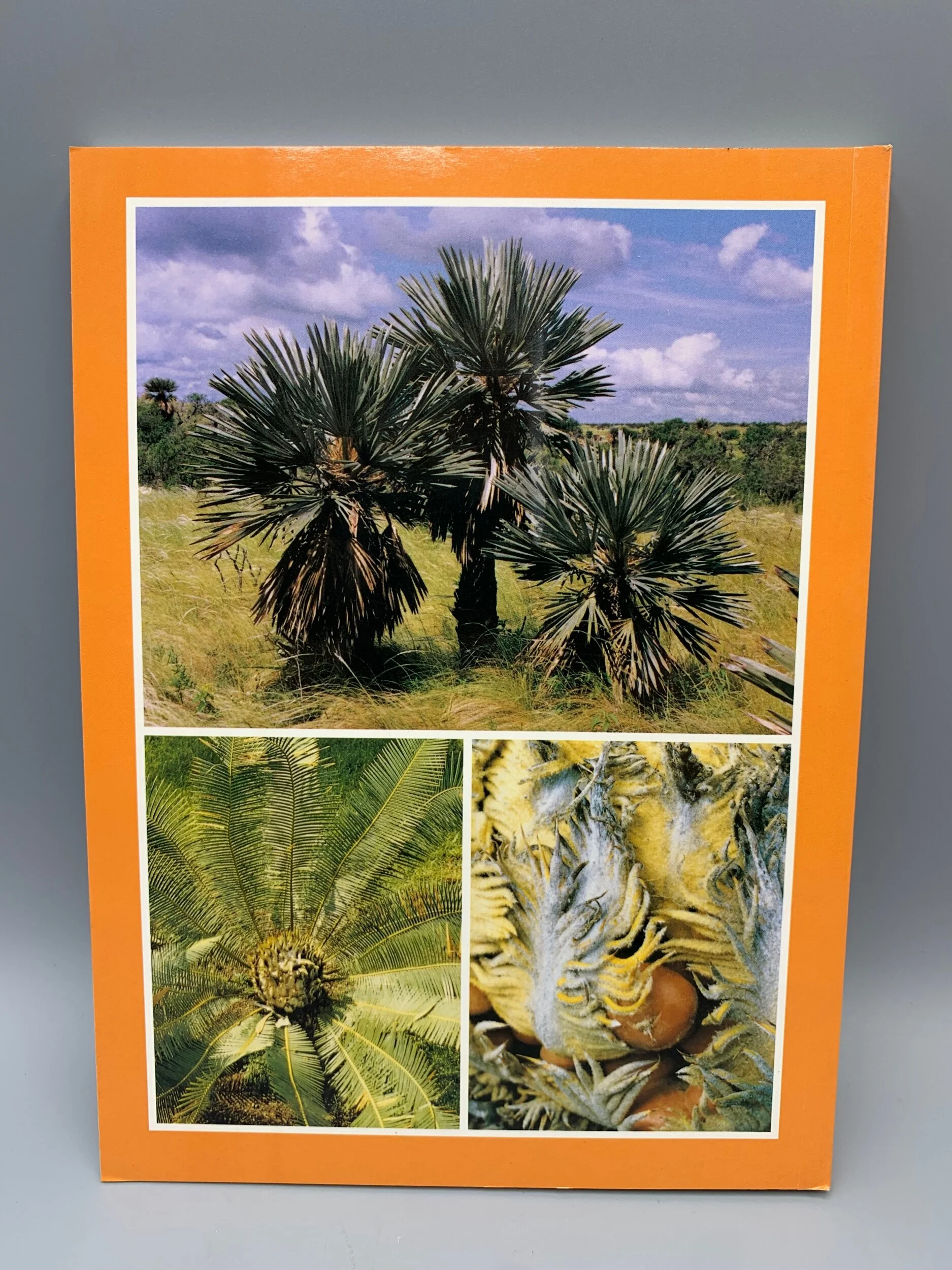 ED146F9C-EC82-4CB6-B214-0610F491942B