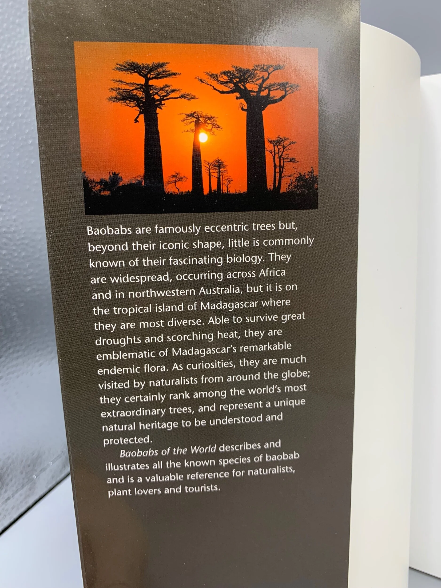 B42D722D-4234-4095-BAC0-F70877EDF1CC