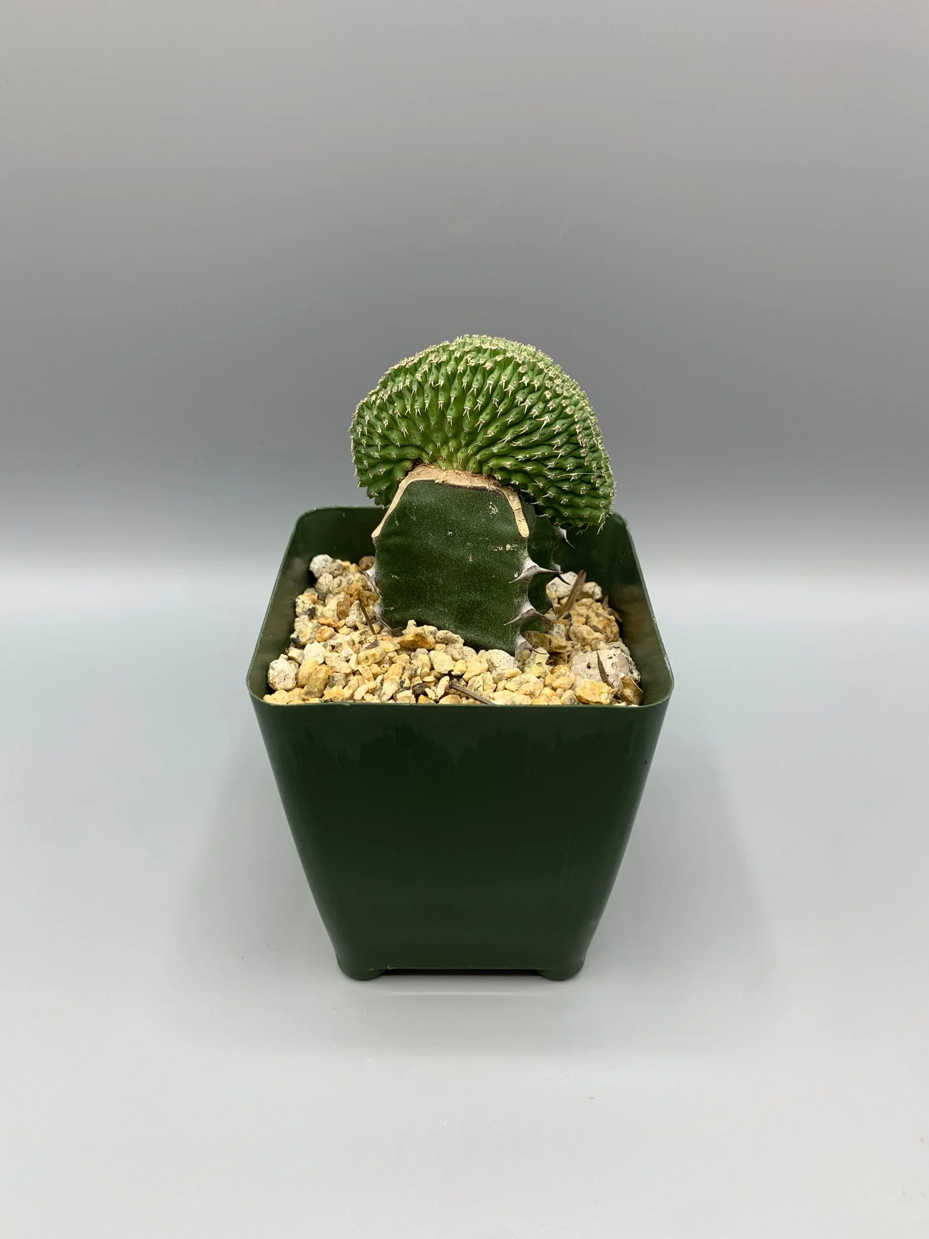 E9BDE81E-3A7A-459C-B3DD-F9608C6F6E8C