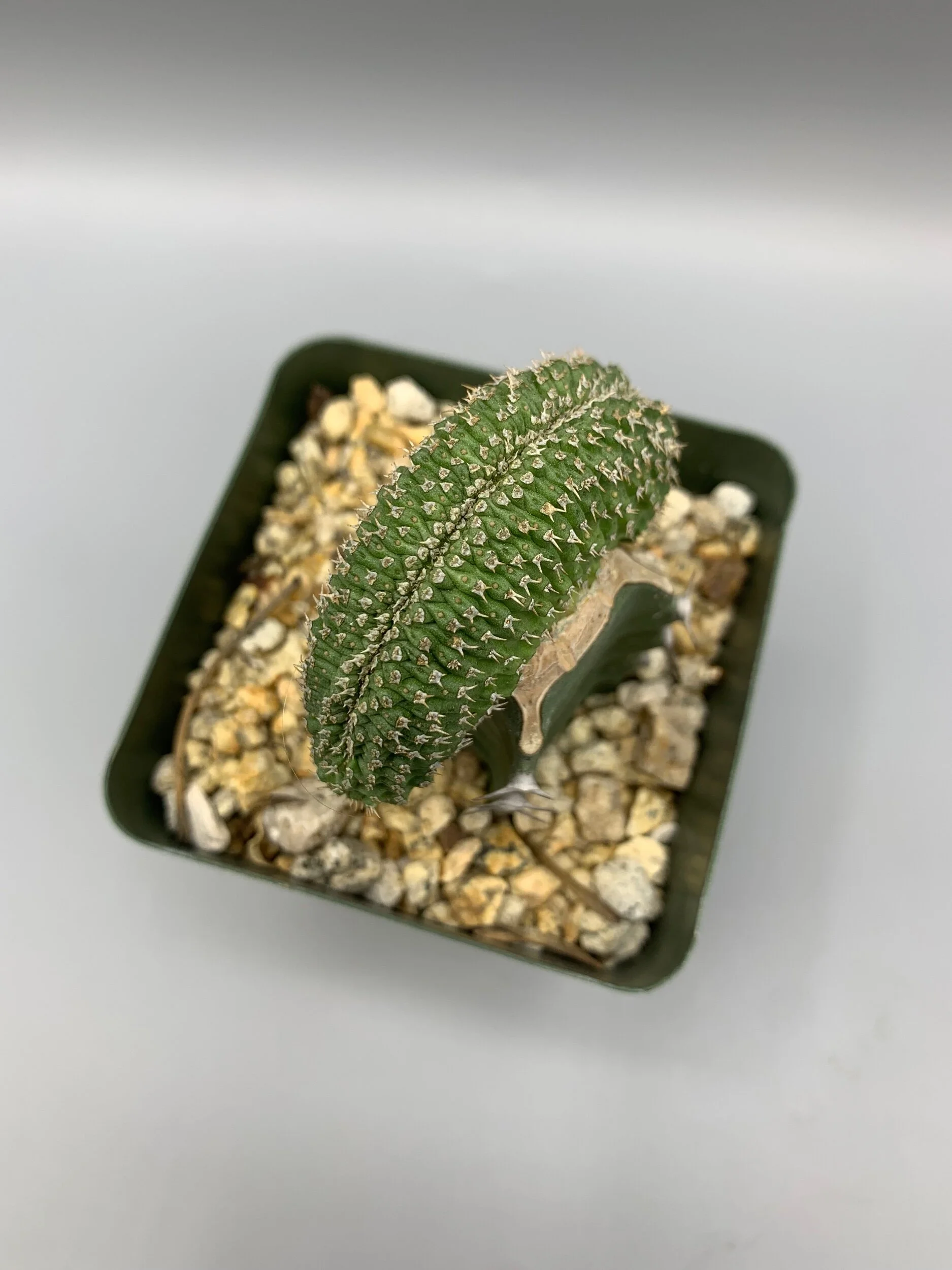 6E3CE158-7979-4B55-A52F-F9E3B4927E10