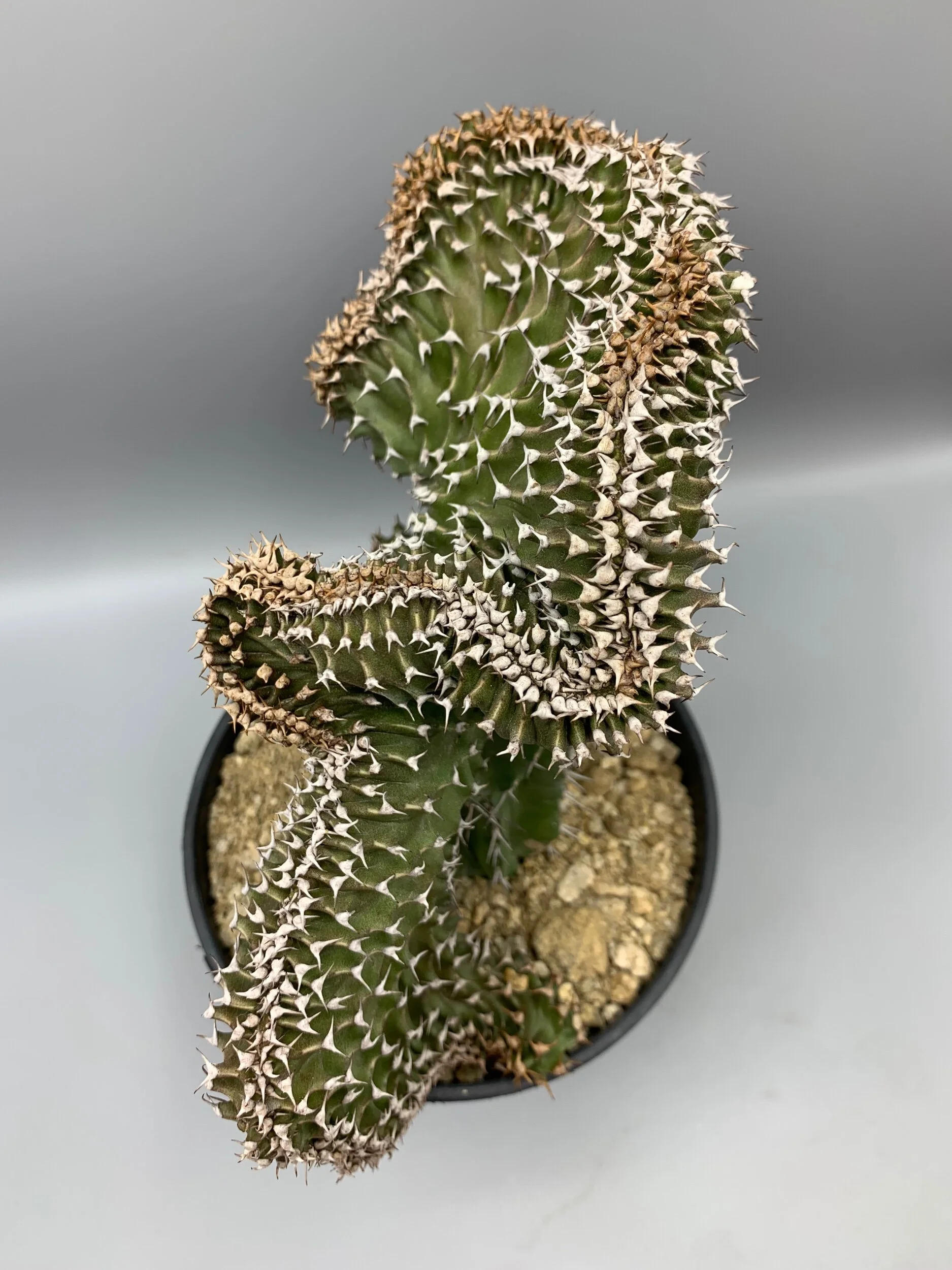 F6545B36-EB13-4E4C-A214-33FF0B647996