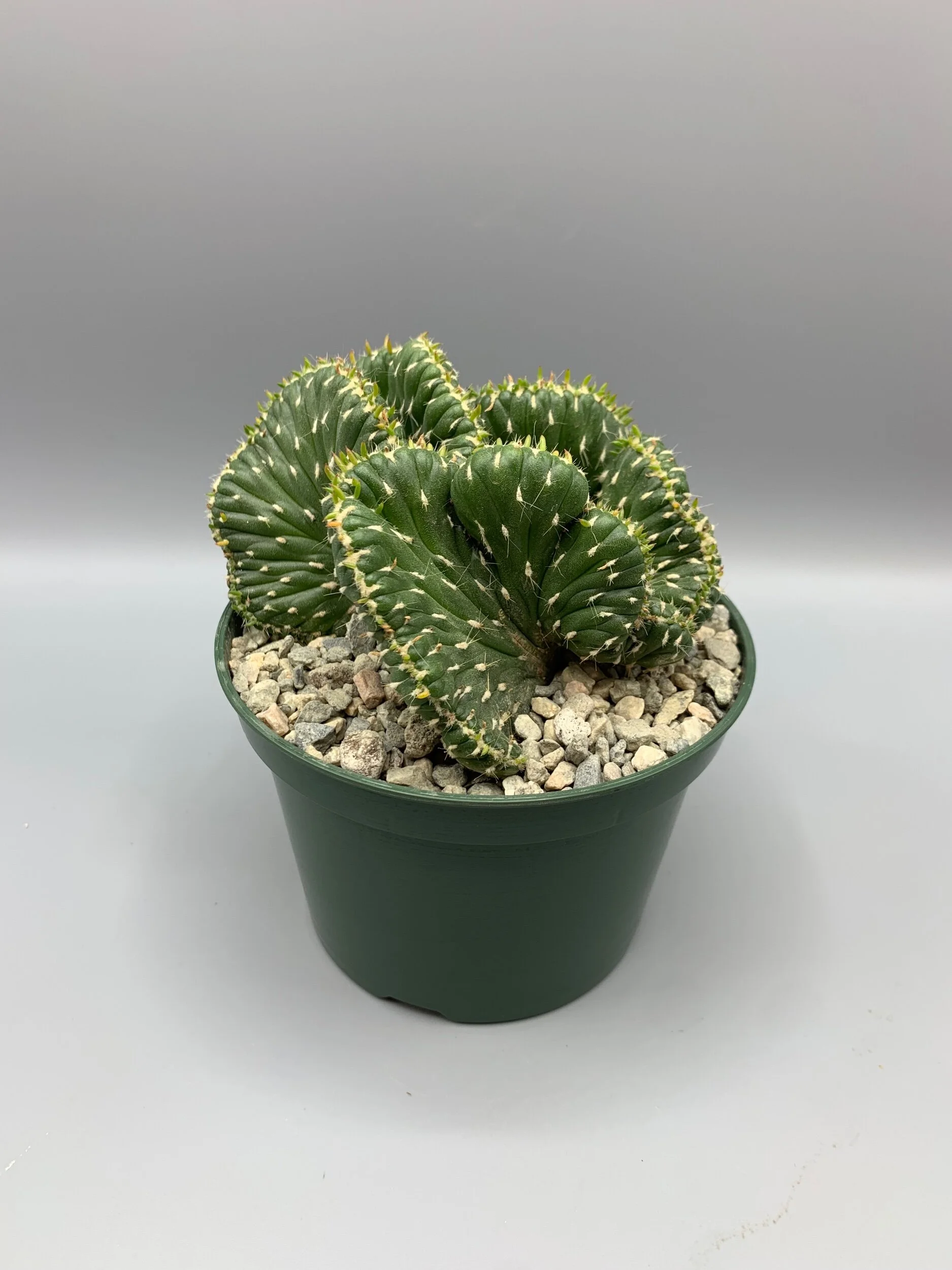 3FD31B77-3605-4DC1-806E-8C855B6B1B1B