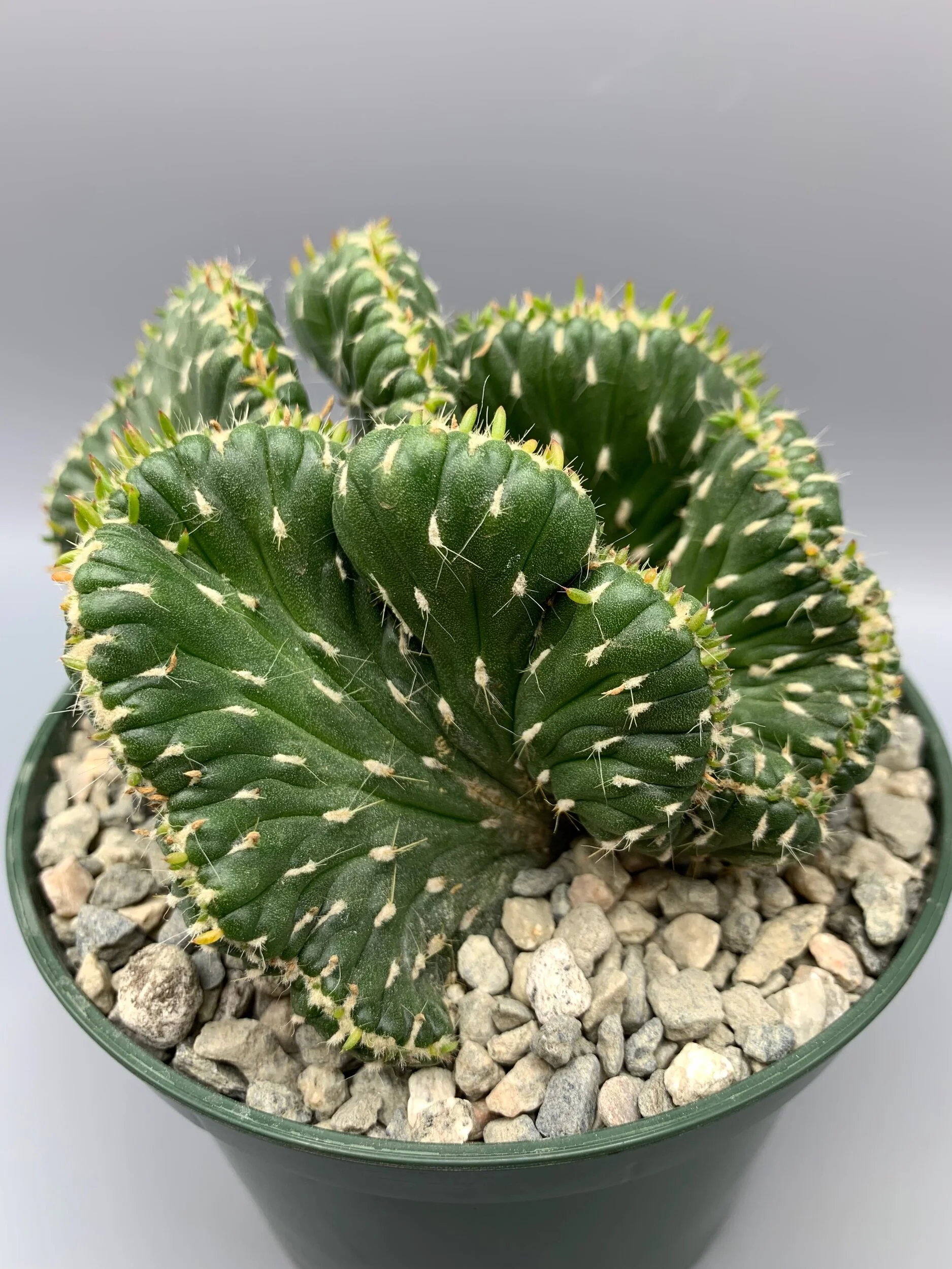 616324E3-27F0-4711-A278-21334057F427