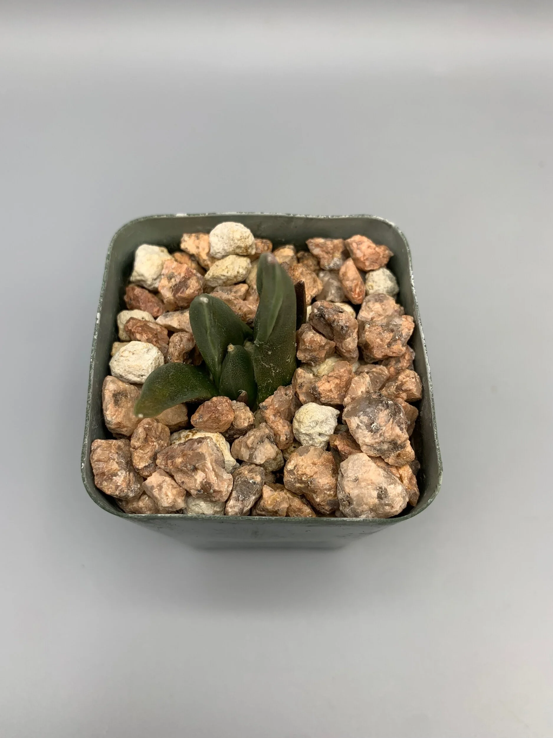 6794504E-A700-4C31-85BC-767DA4464334