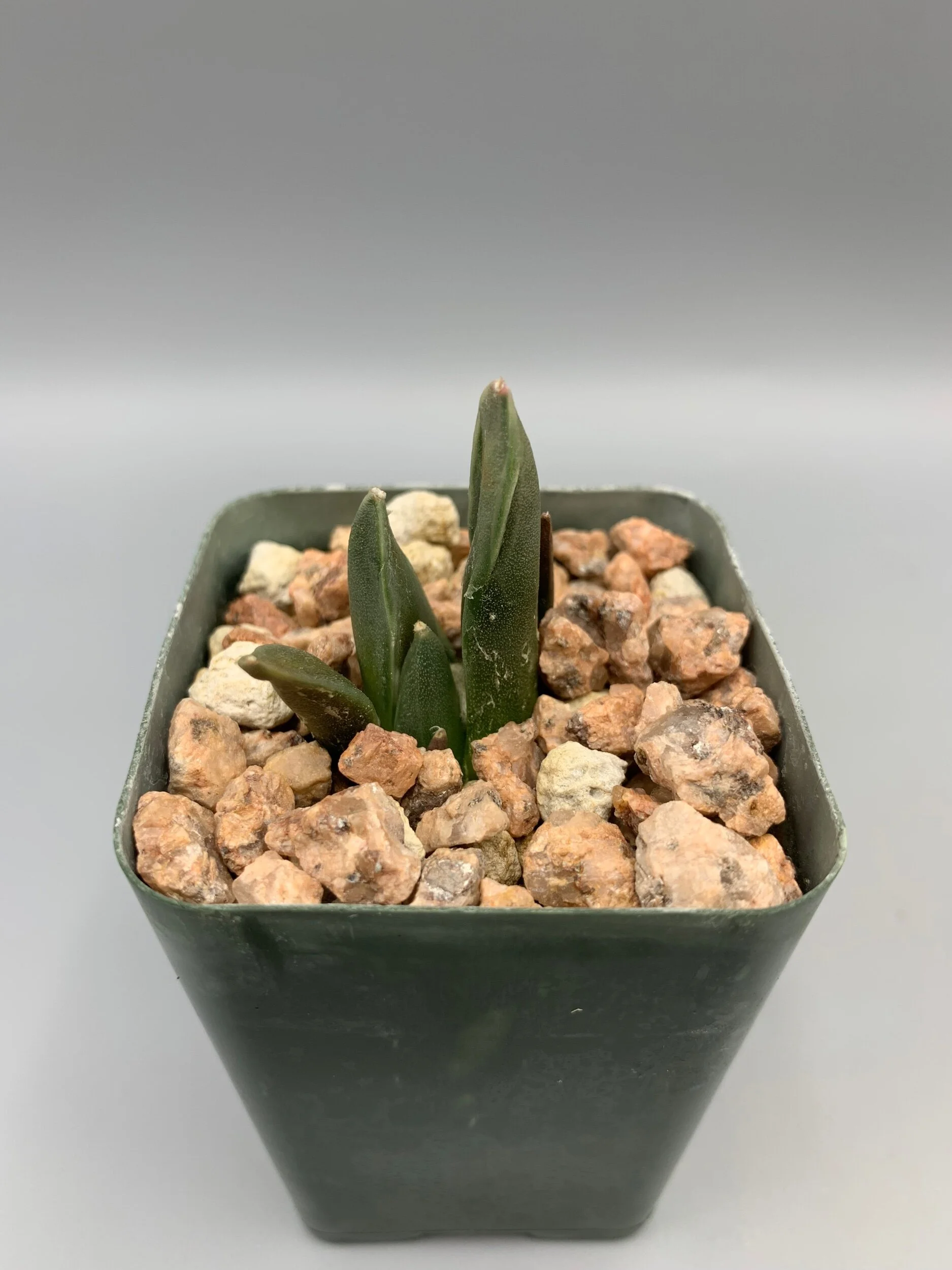 BCC1BC61-927D-4B5E-95E0-029117C62FF4