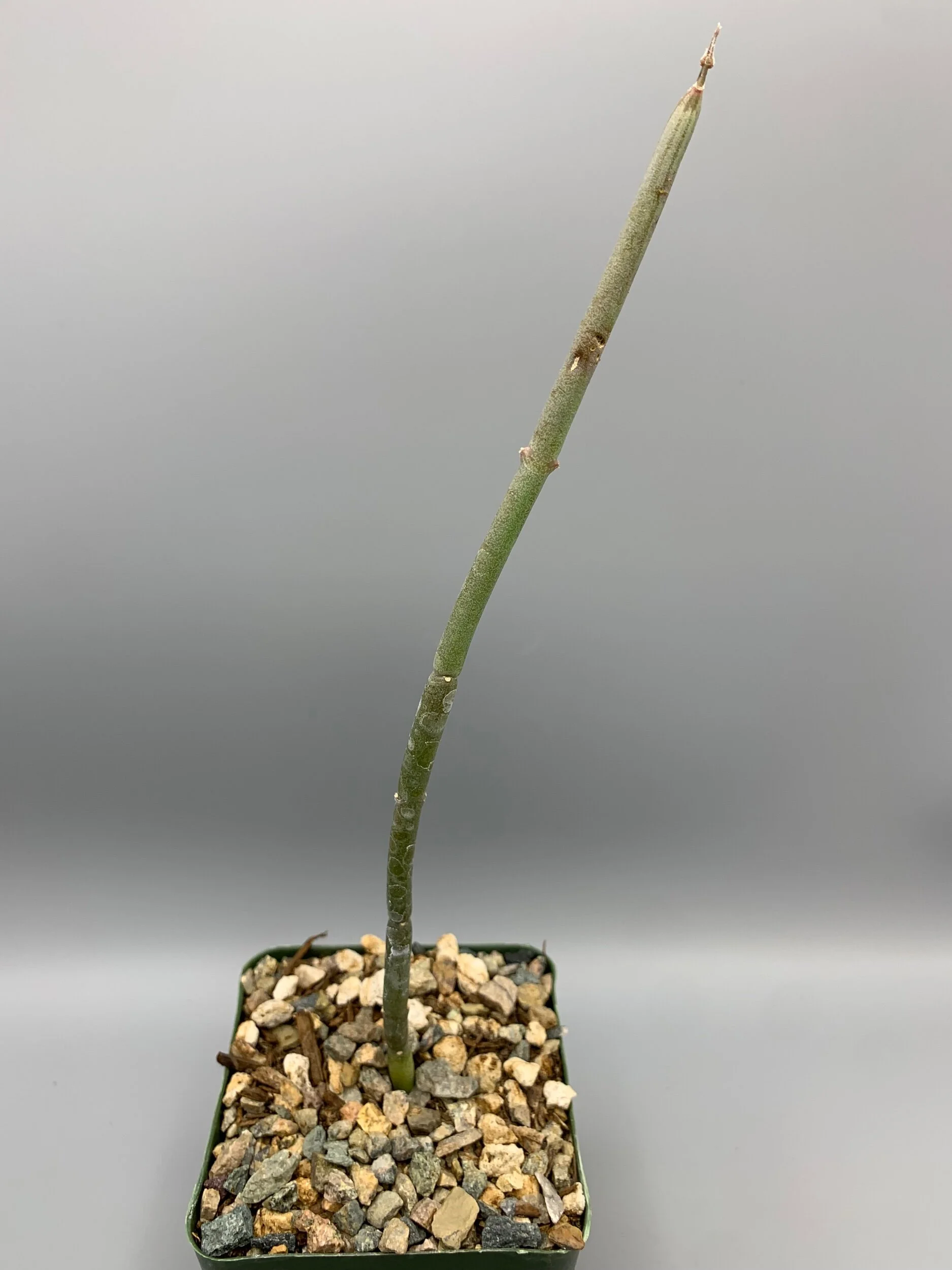 B5BA66F9-150E-48B8-9B5F-15B78AD934B1