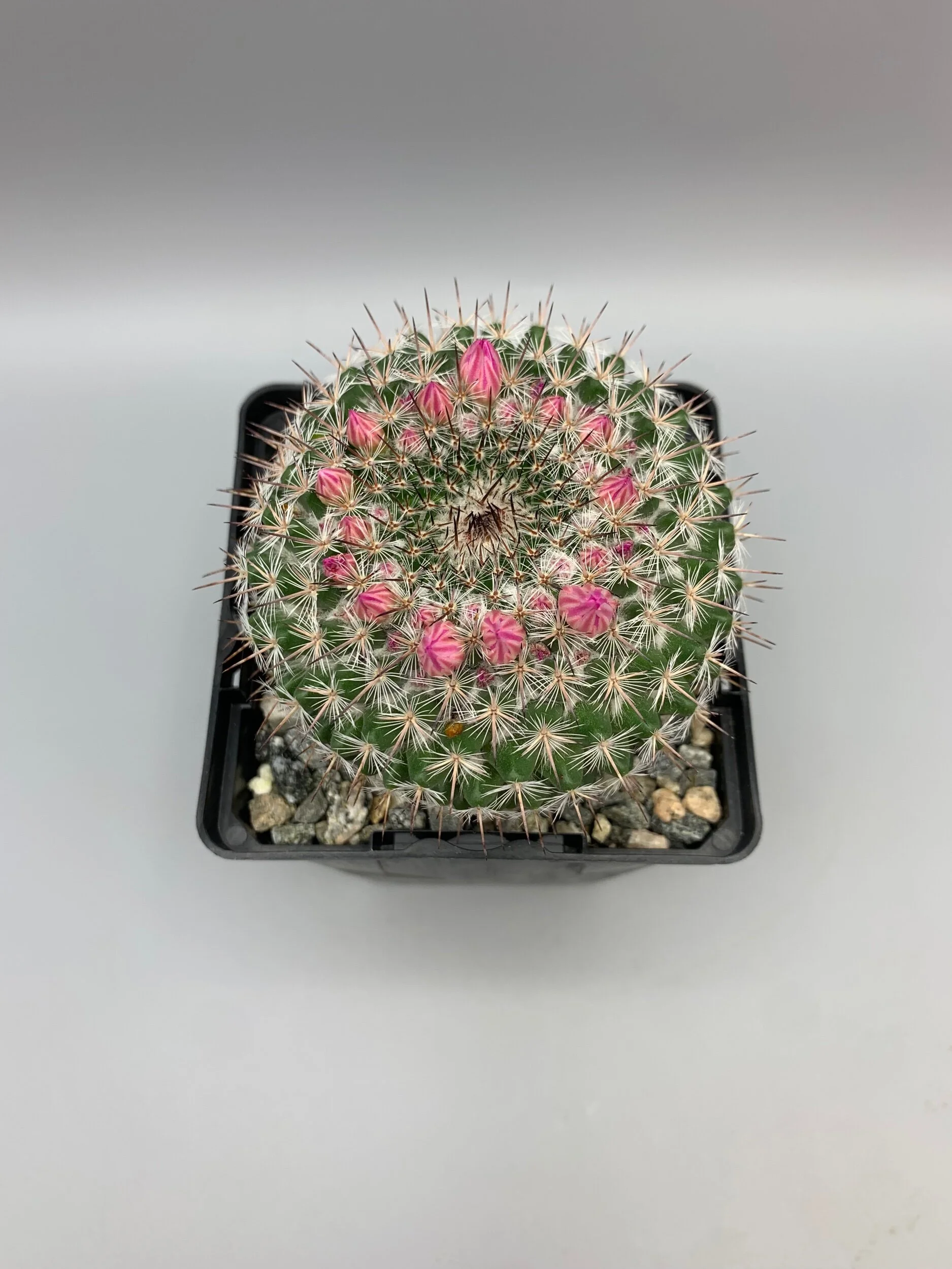 0E002CDC-04C6-4328-A035-2CC793F543A6