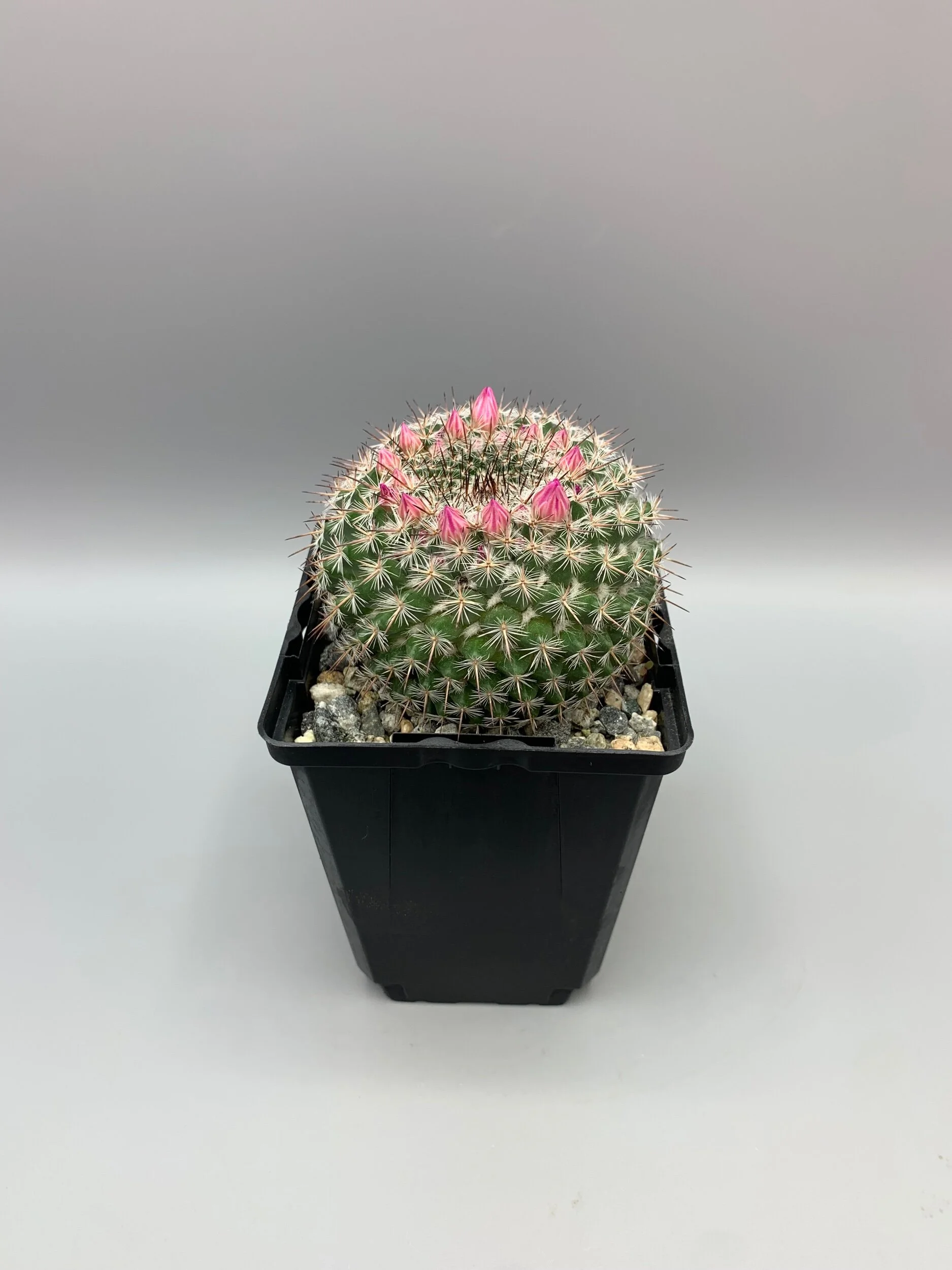 746E01C0-71AD-4868-BDF2-7D74DDF03B4A