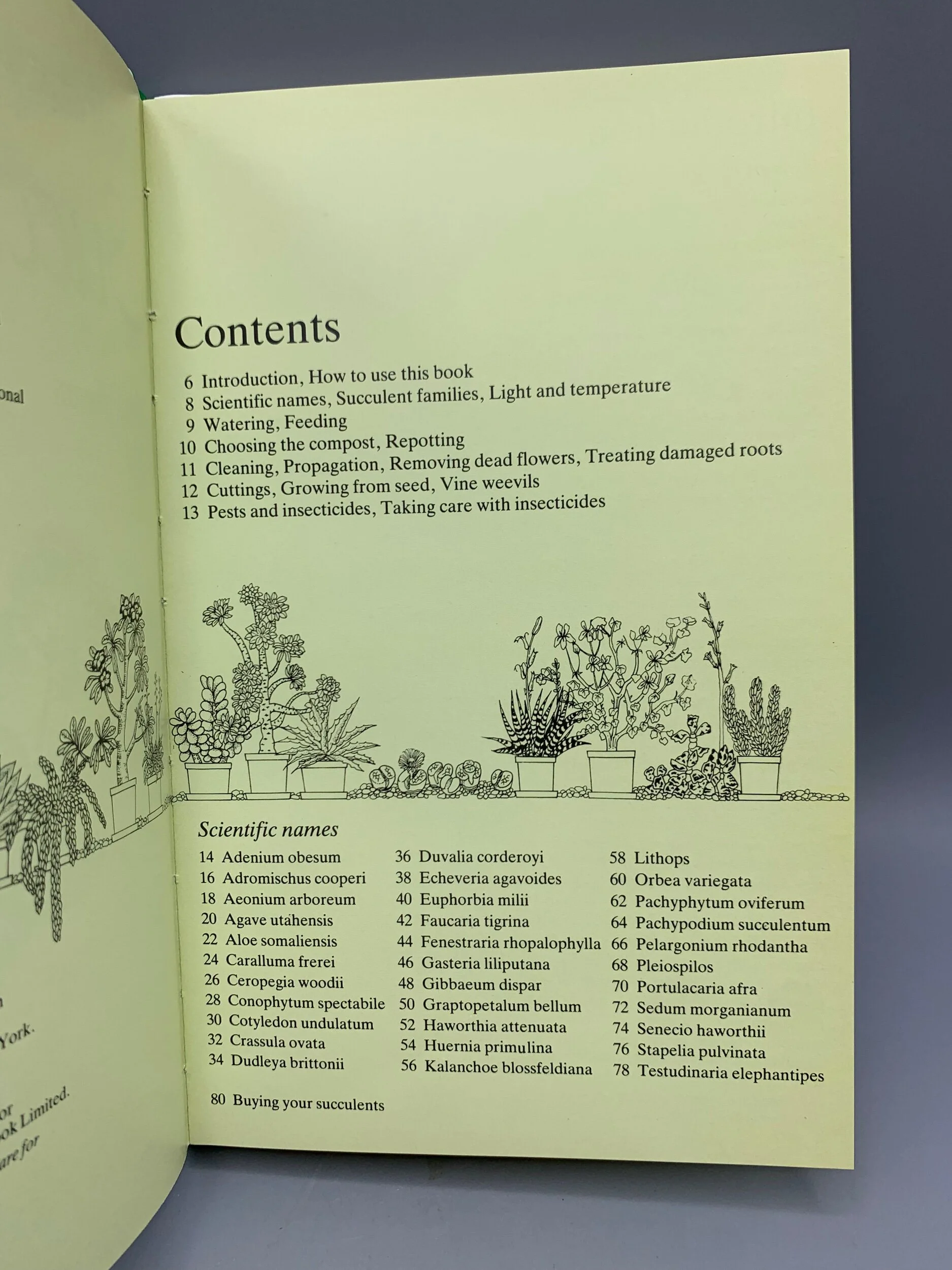 8DAE15E3-1E99-471D-A69F-074138789FD5