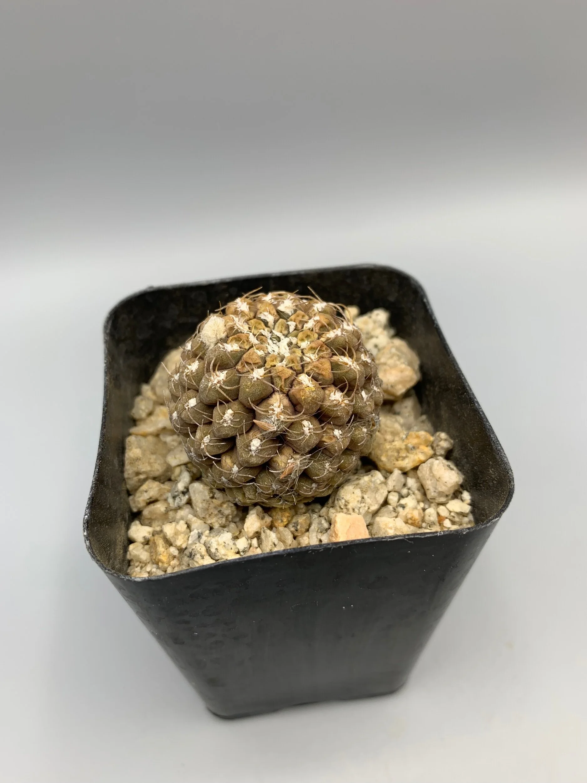 B2691A4B-CF77-458D-9051-DB65463AC9DF