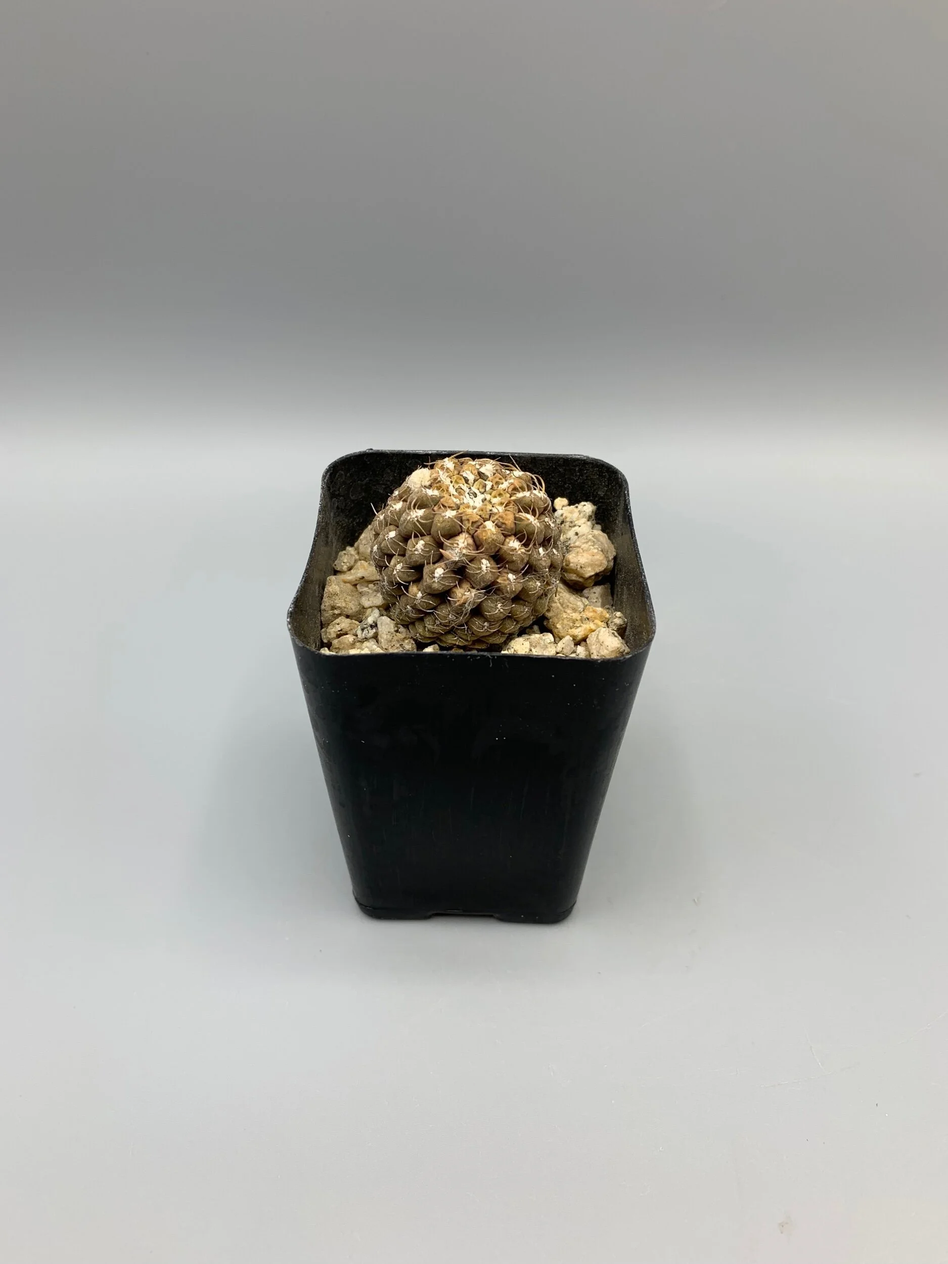 93F8E90F-9D09-40CC-9AB4-CCE19952C7FA