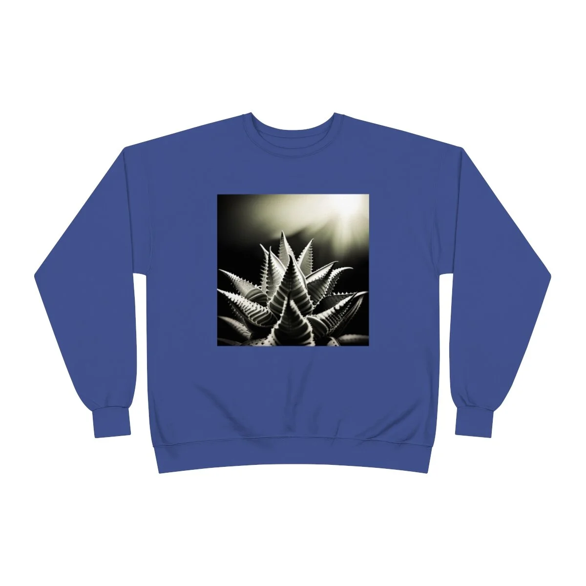 256167cb329d7fcf39d78f33cb091fef