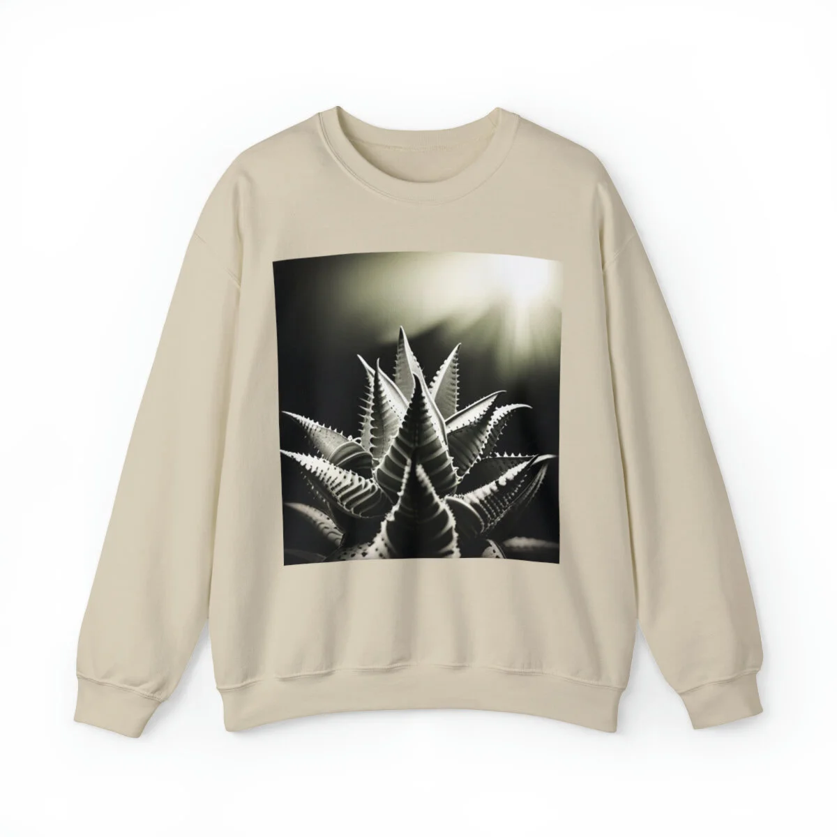 8da36925a77bd131e0ca2814910d5114