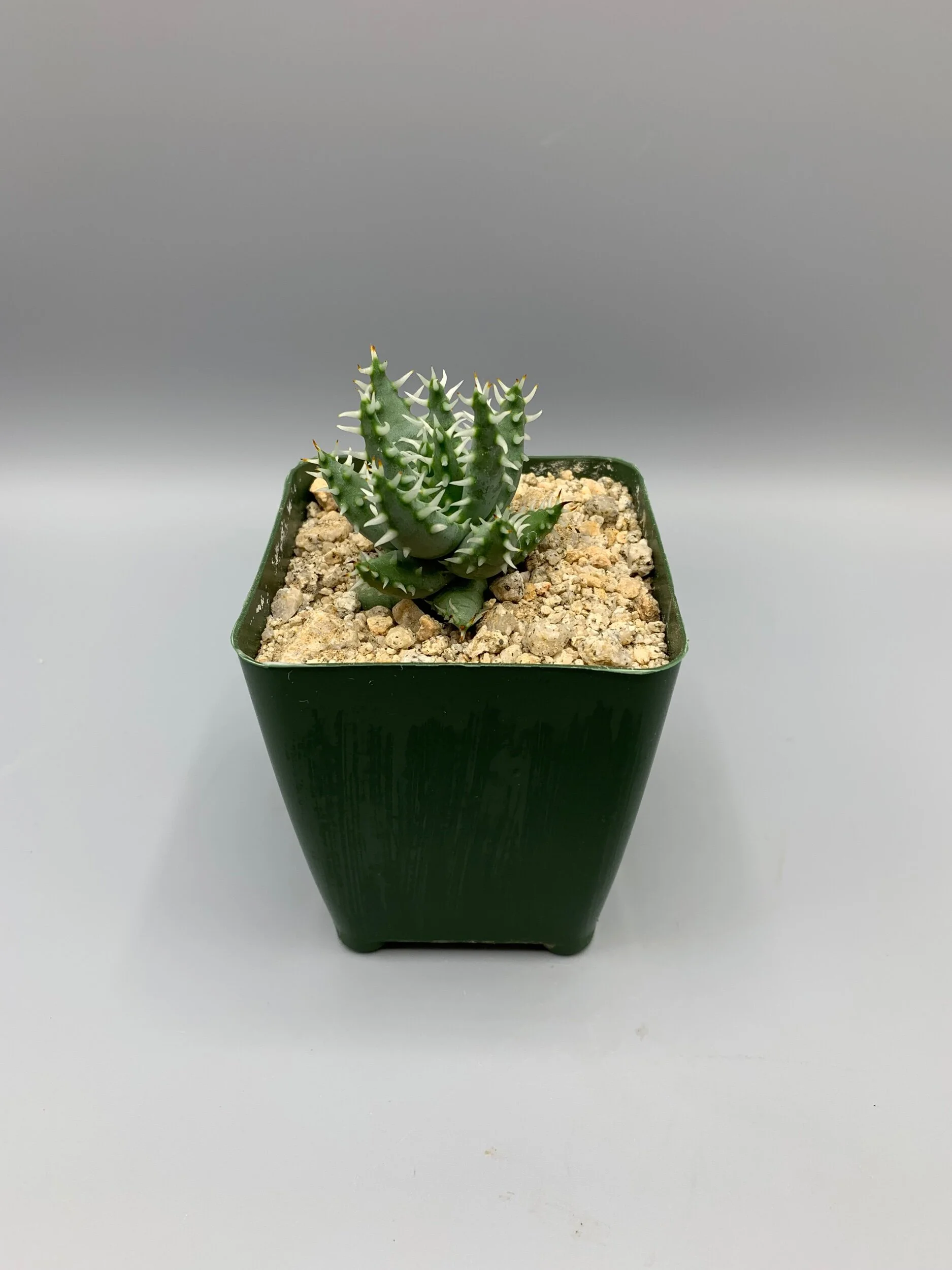 BC1DDD55-01F1-4A60-8F06-98D7DC29C07A