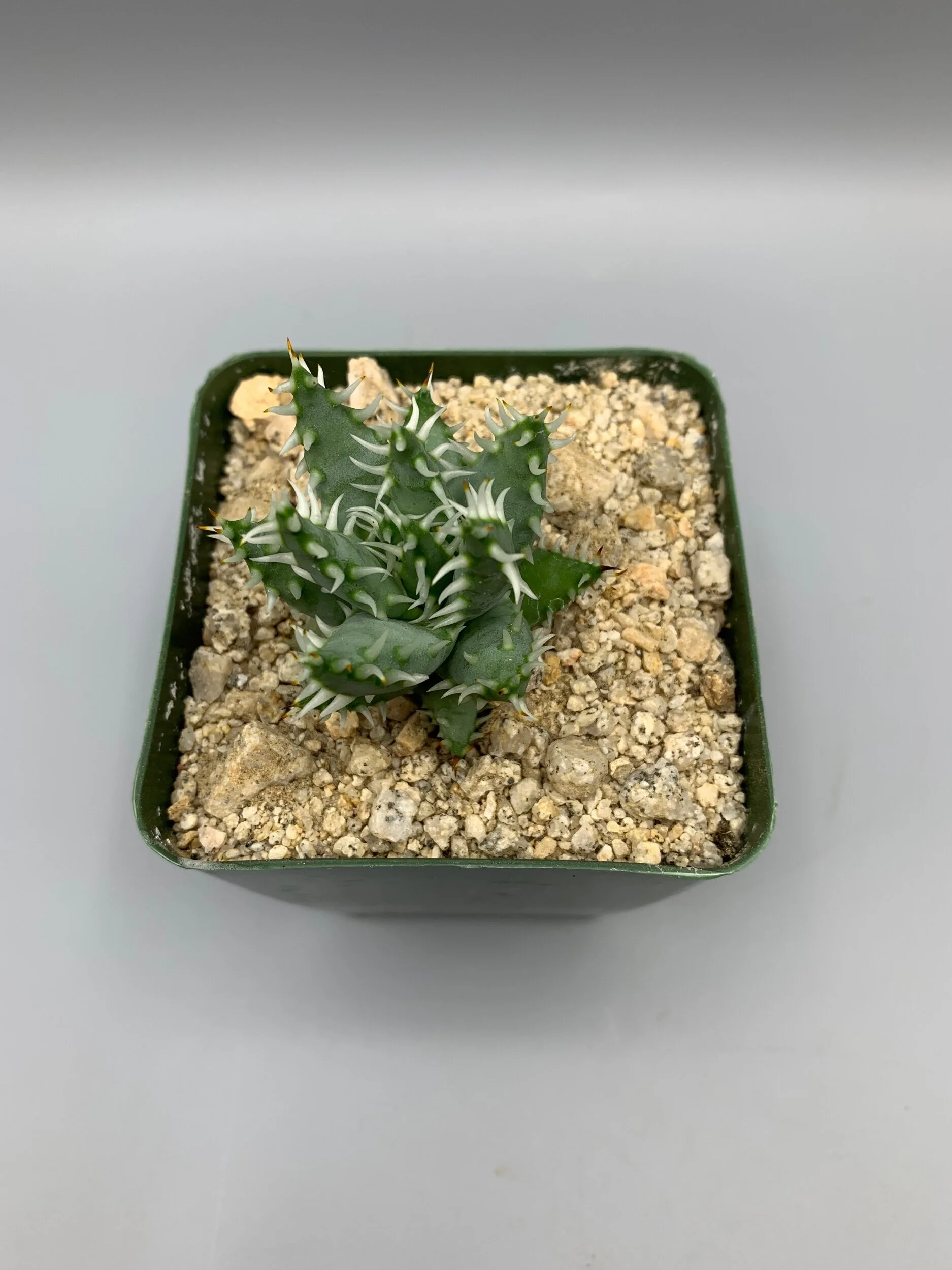 91D40C1A-D0D2-4739-A81B-7E1451437669