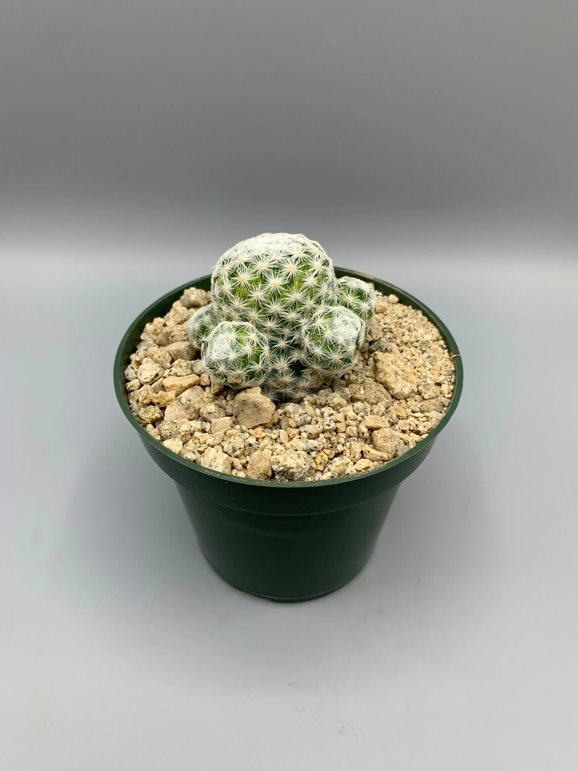 DAC29D93-4D4B-4CC9-9D69-F064761EE300