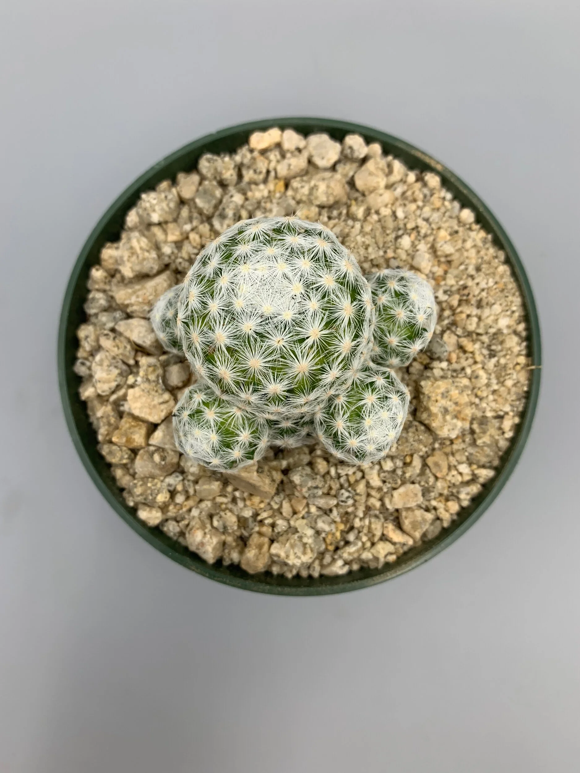 C2389923-156C-41A7-88E8-6E9CF84D0E11