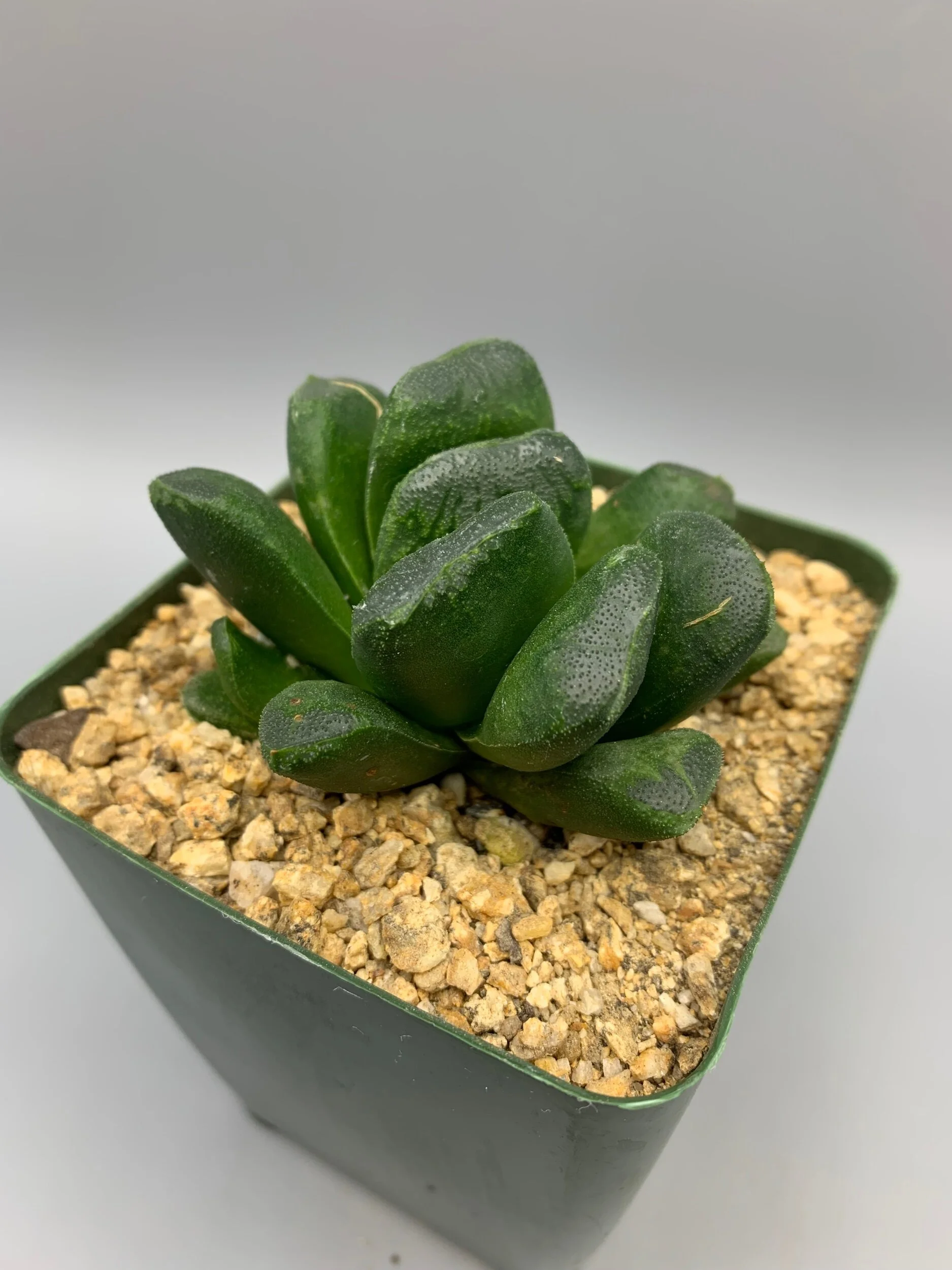 80F1615D-5B04-4AF8-BFCF-5B729B79F747