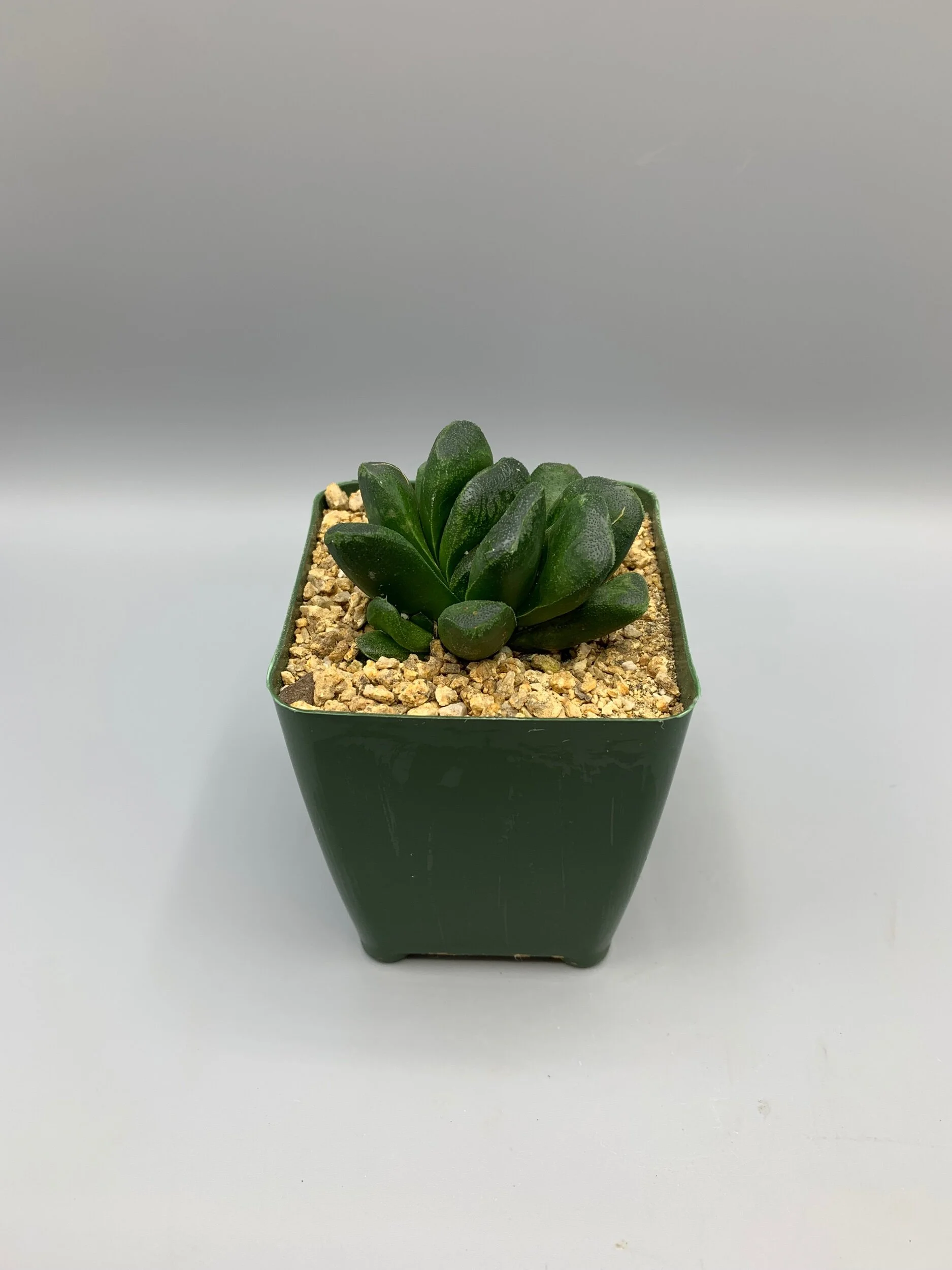 1E3F285C-7D51-4B2C-BFB8-60C7D80A3498