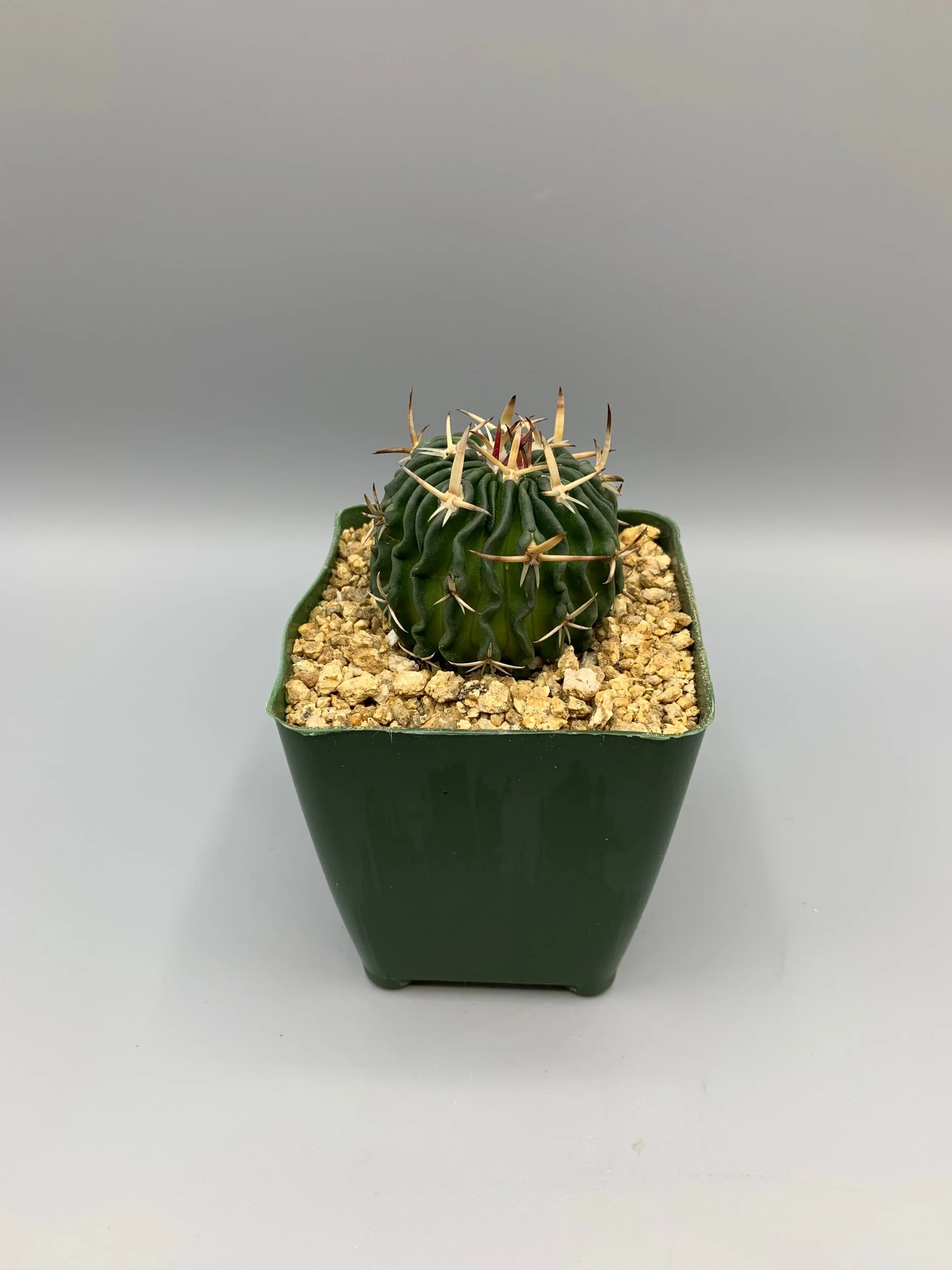 05627D95-908B-4E1A-ABC7-790A3067067E