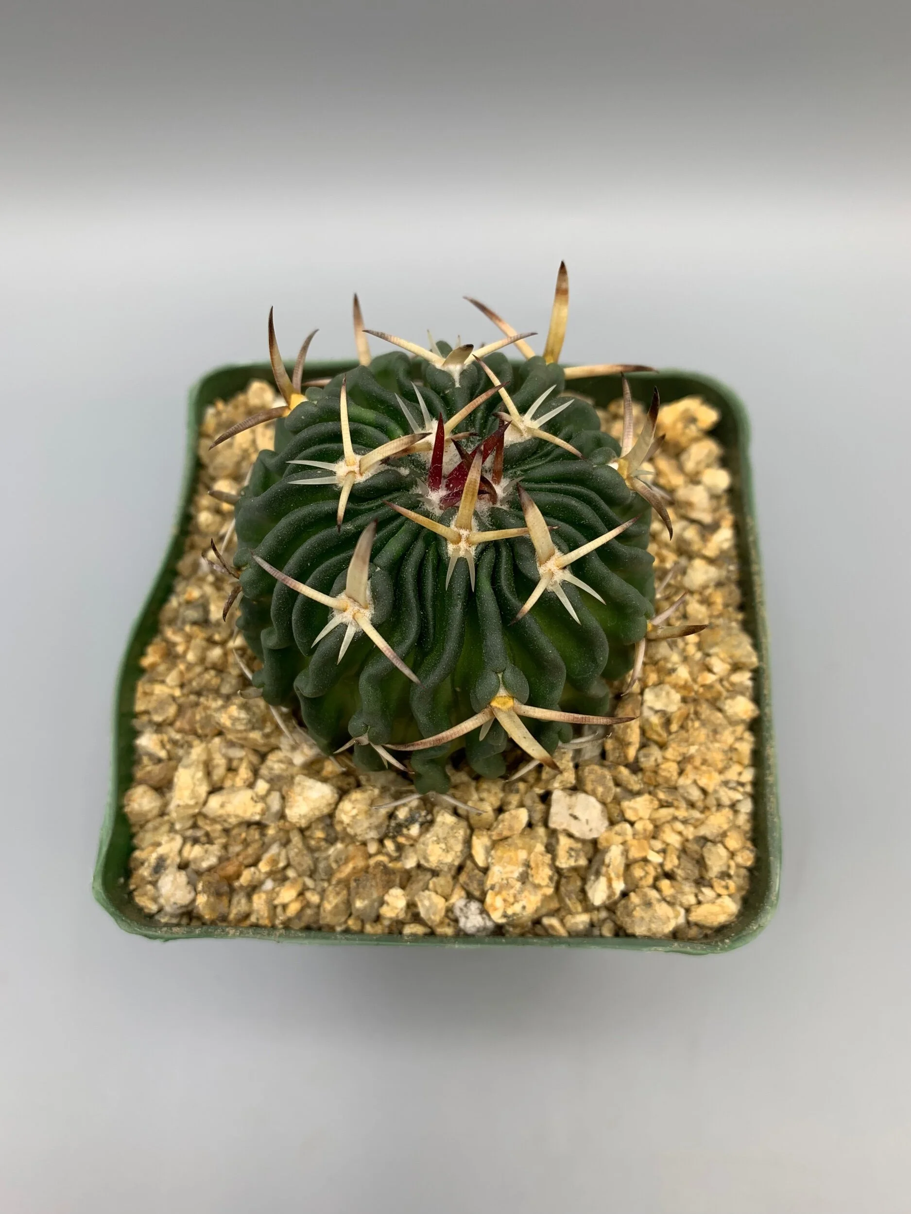 D74790B3-AEB9-4F9A-9810-DB51D2A0FC6D