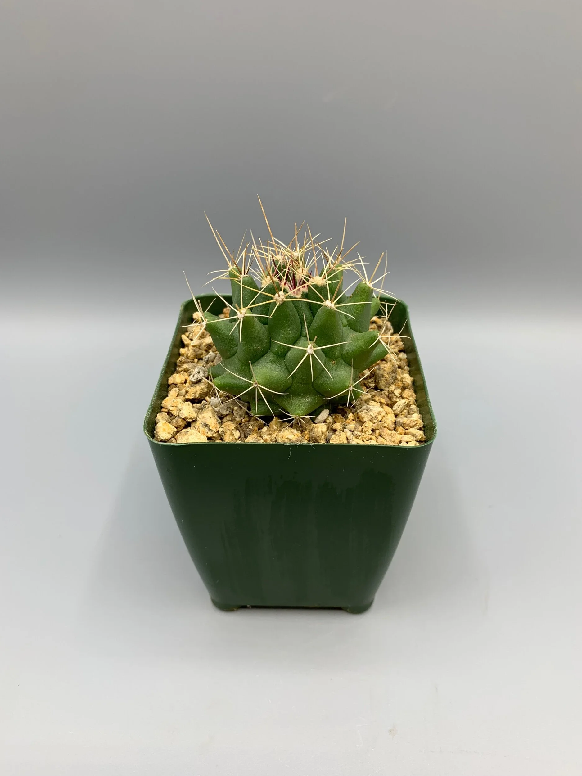 BFB54A14-ED06-47A5-8446-1A2F11F53A23