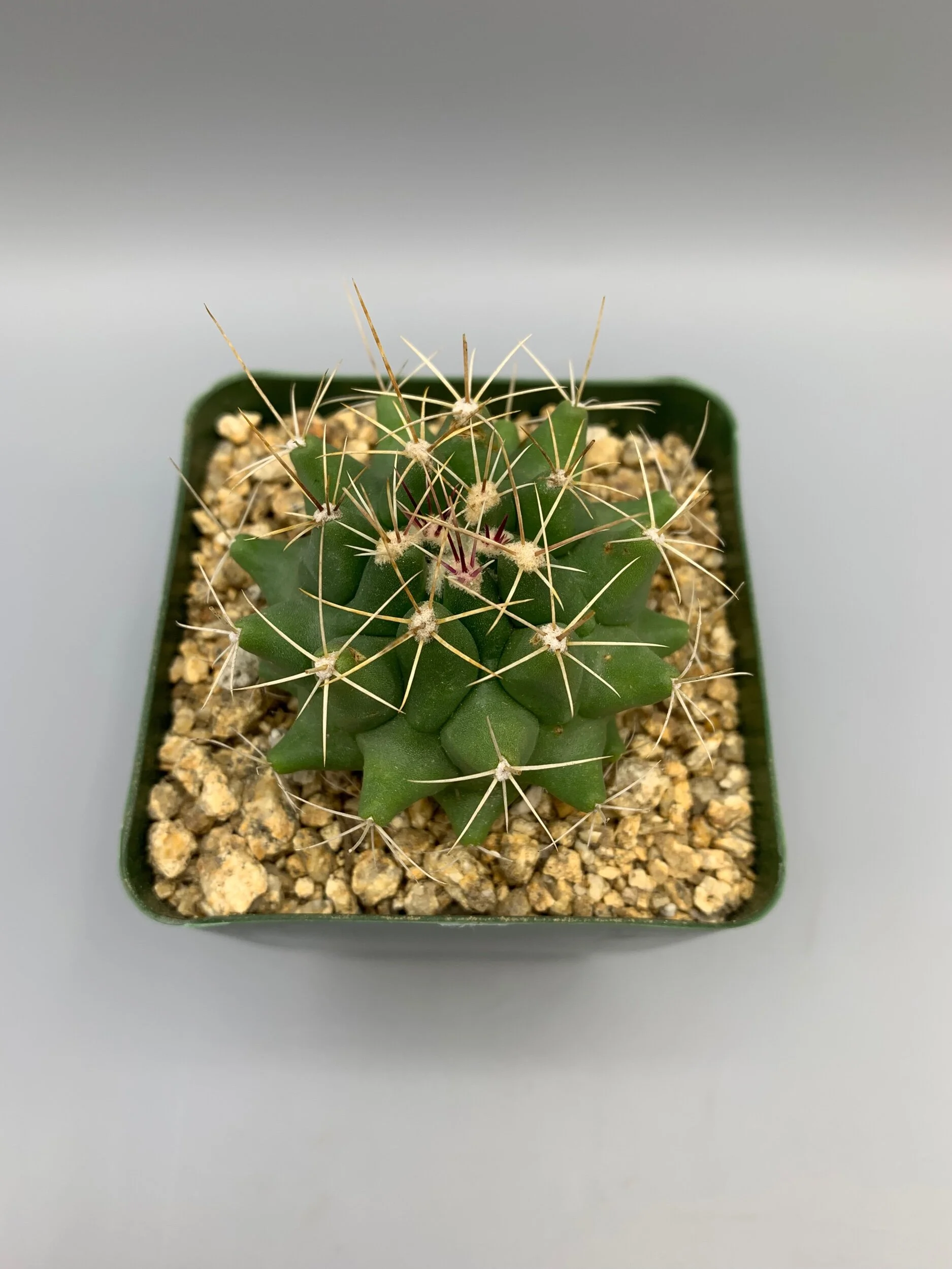 6E4721F9-DF3B-4C7A-9D55-6A41B2752D67