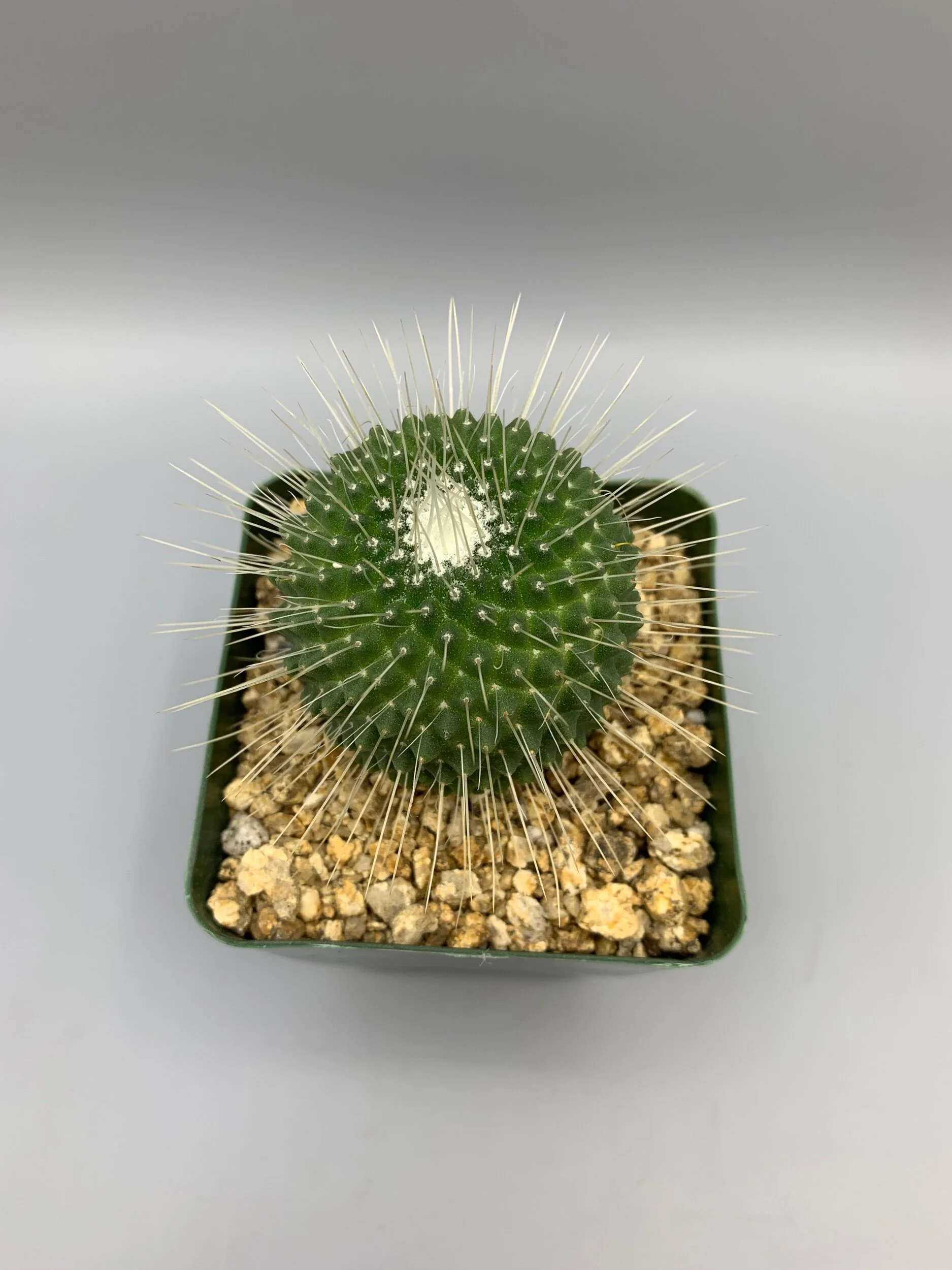 F65BA79E-7955-4630-AD24-91A2FEF55674