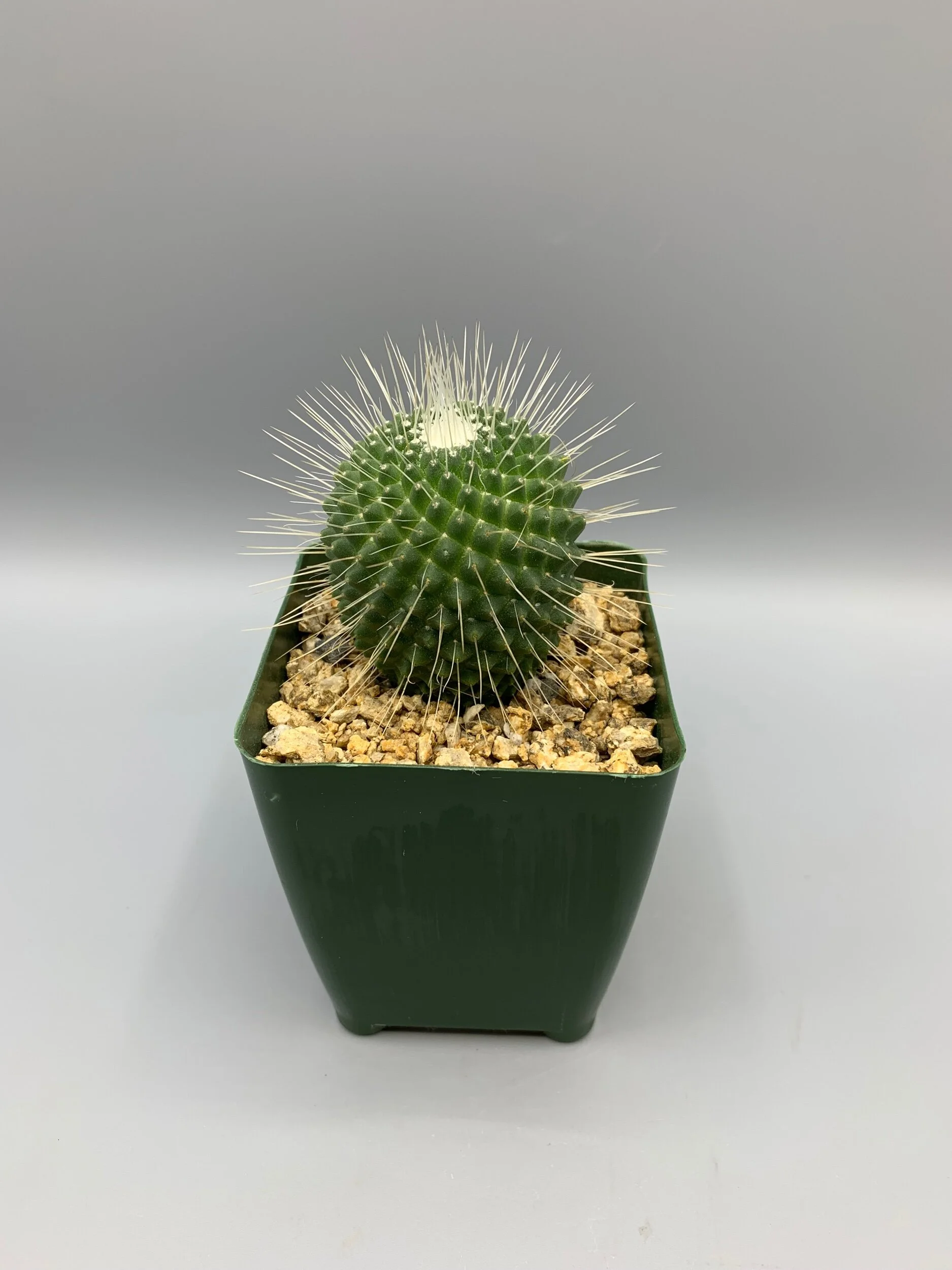 5EBC49A2-B57E-4D44-90B5-A882AFA1F39D