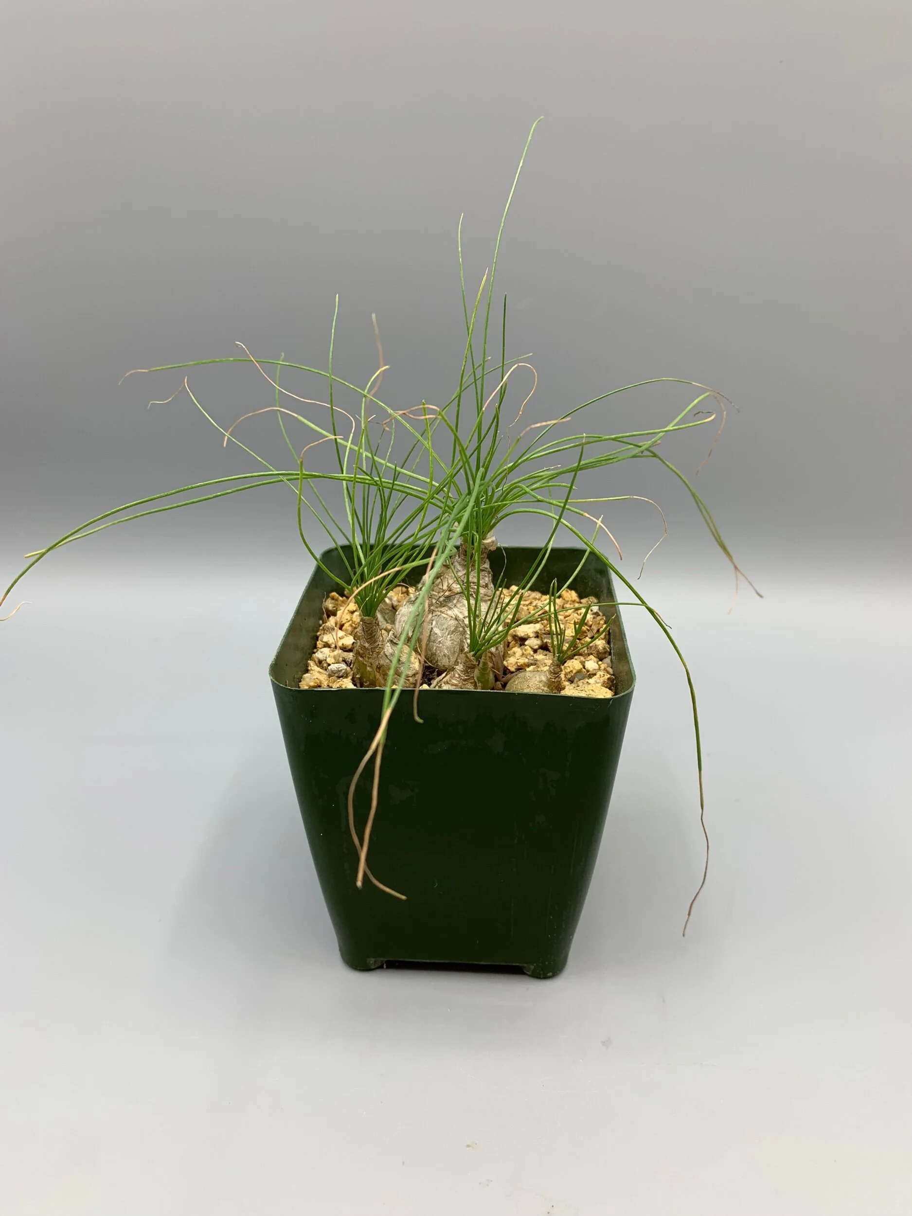 020C5136-F642-4261-900E-746BBC0DF6B3