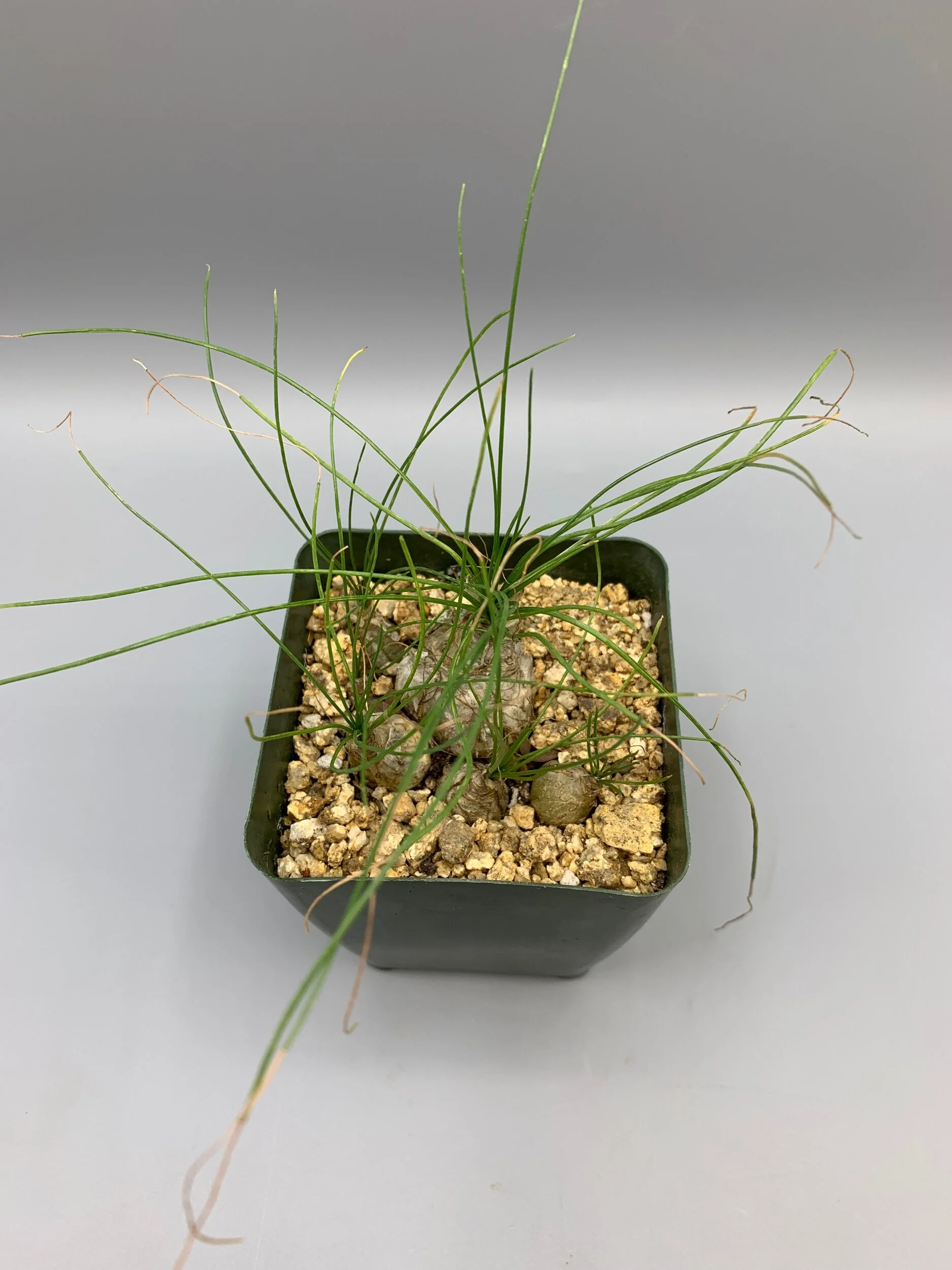 2D013974-260E-4110-A9AB-A17149DC9E2A