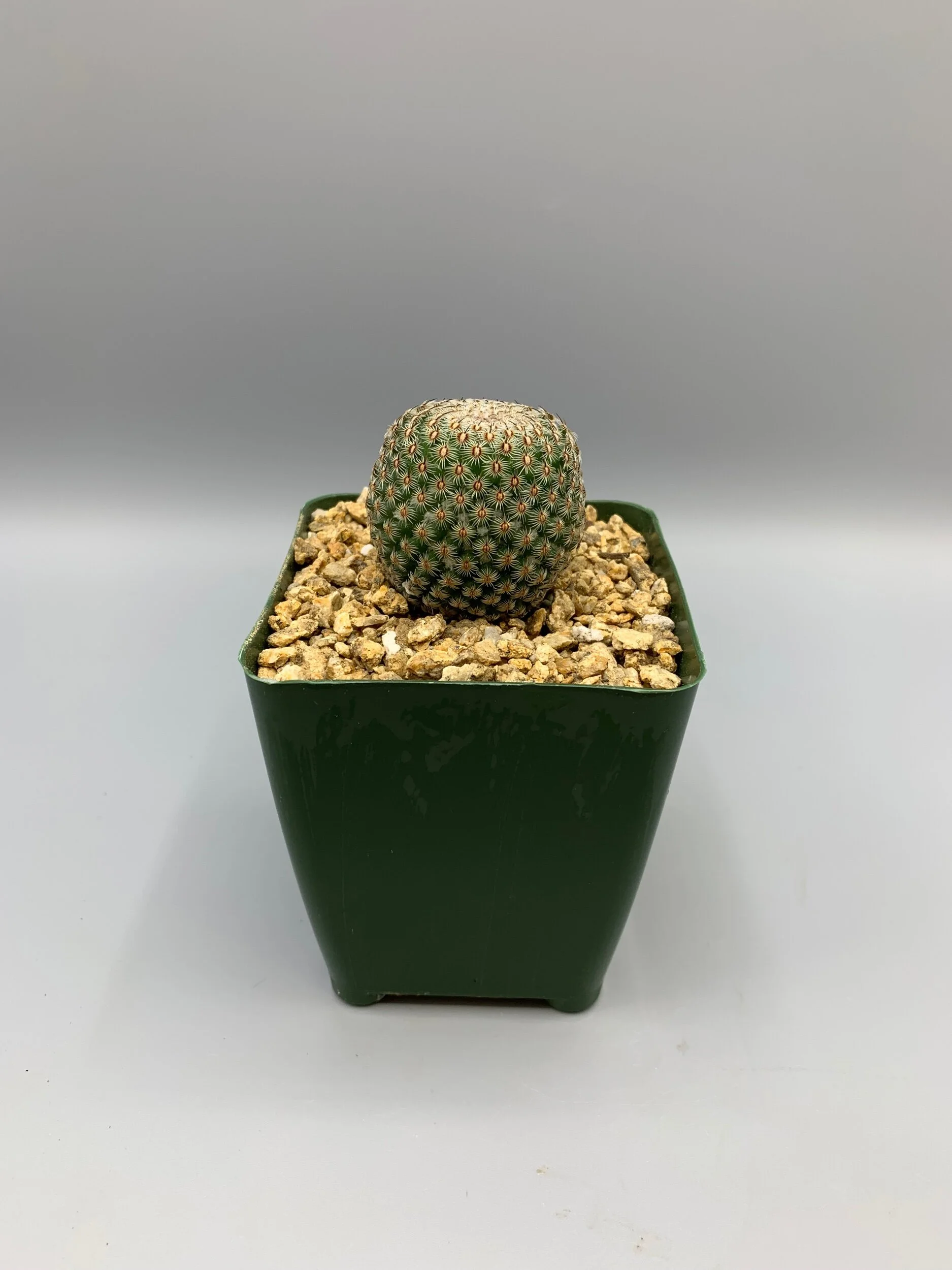 620769C6-7410-42C4-B14C-0D93A1157771