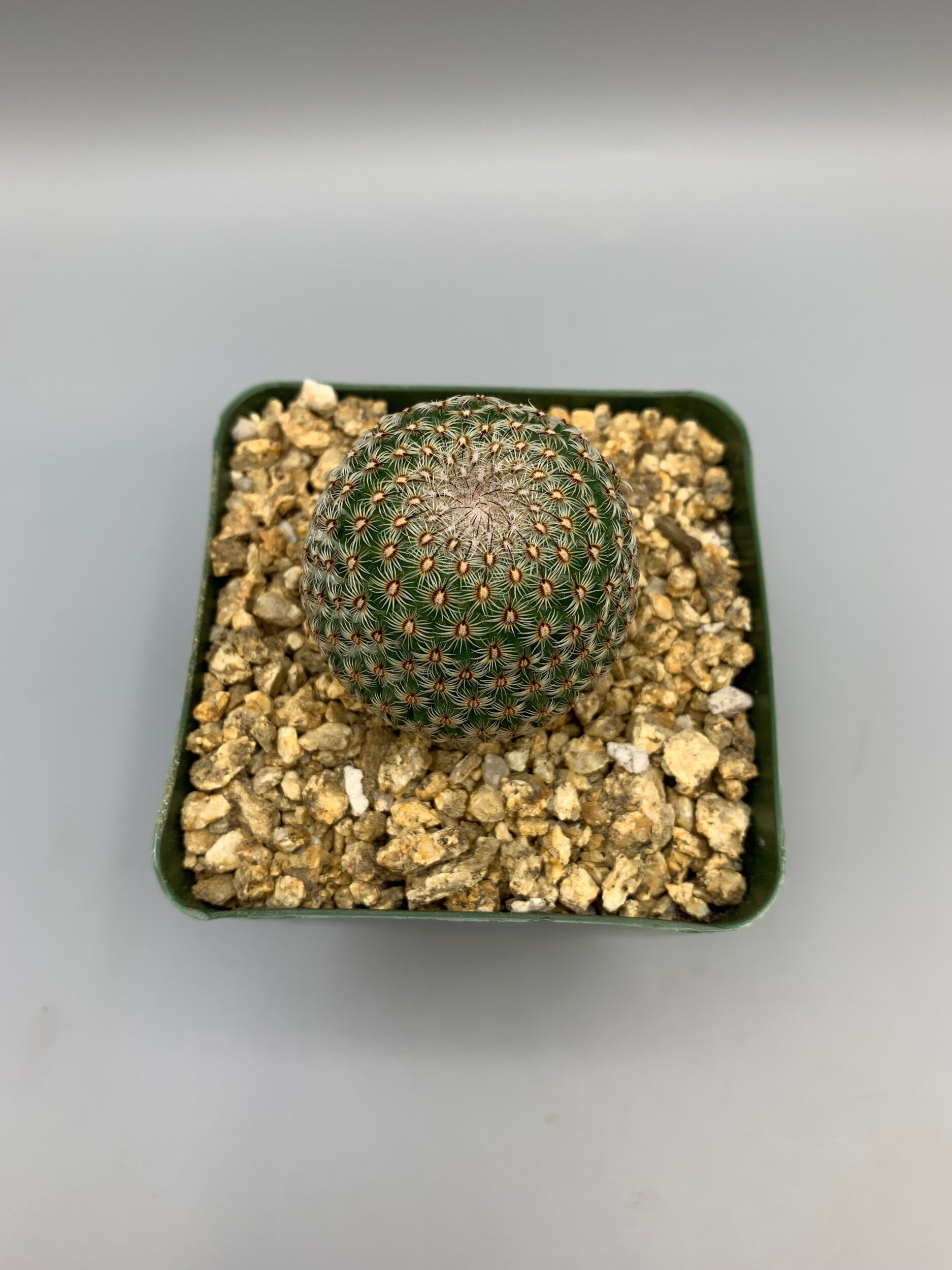 EBA585C4-EE13-4FBE-8872-AC86AAFDD0A0