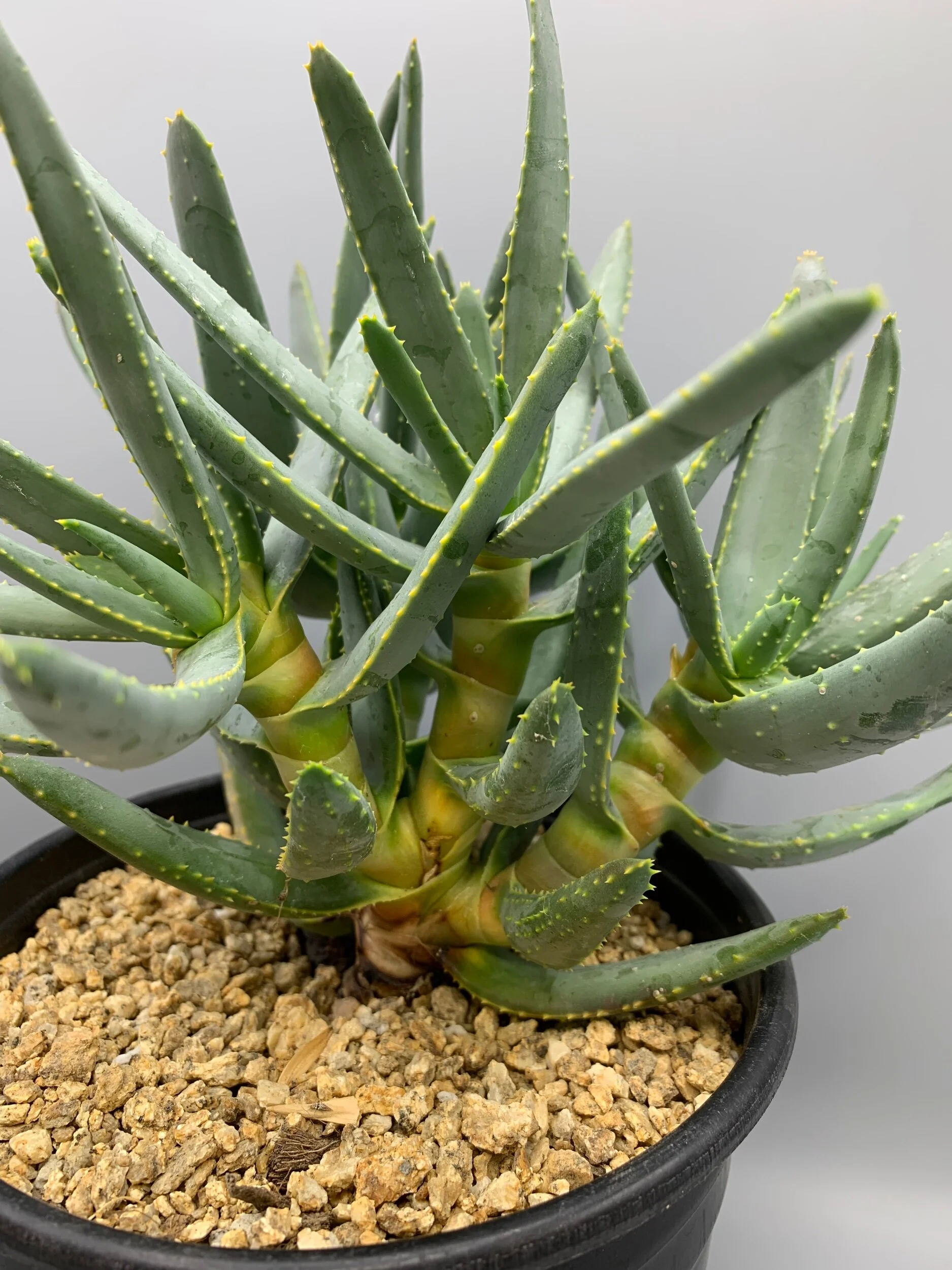 014A9BC7-BC1E-4FBA-9609-82D870B3F773