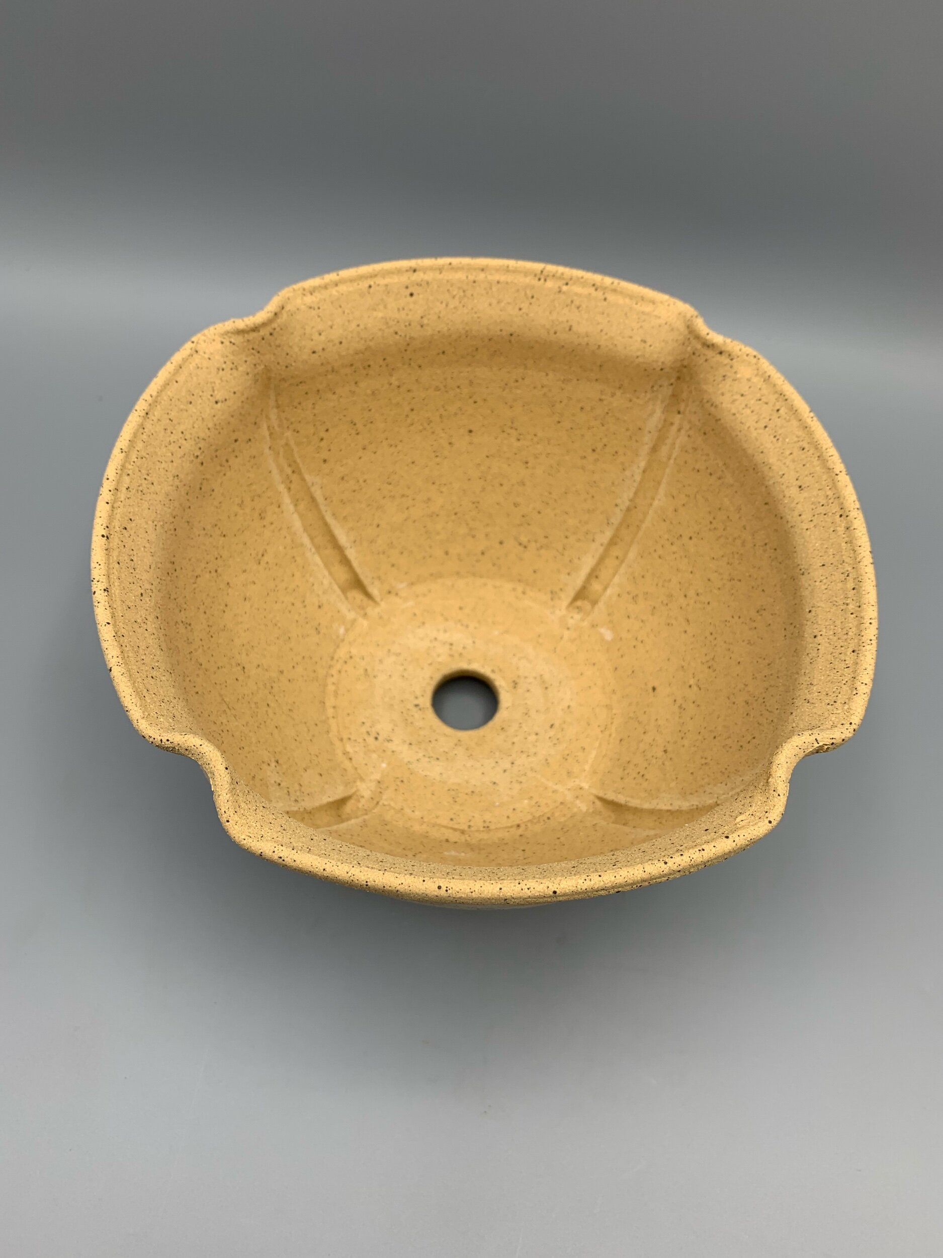 32DB0478-E0C5-44D6-B676-F9FE84ED8D70