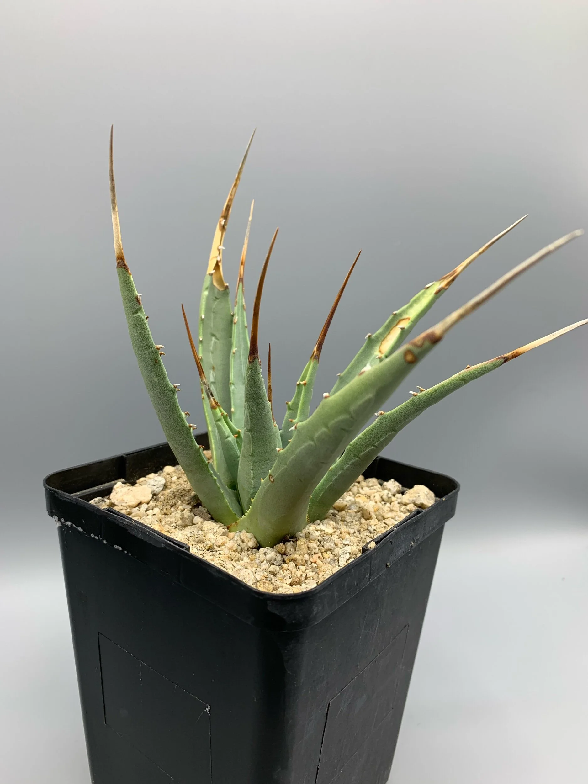 2D67ED1D-B743-4150-A009-5EB1F6202060