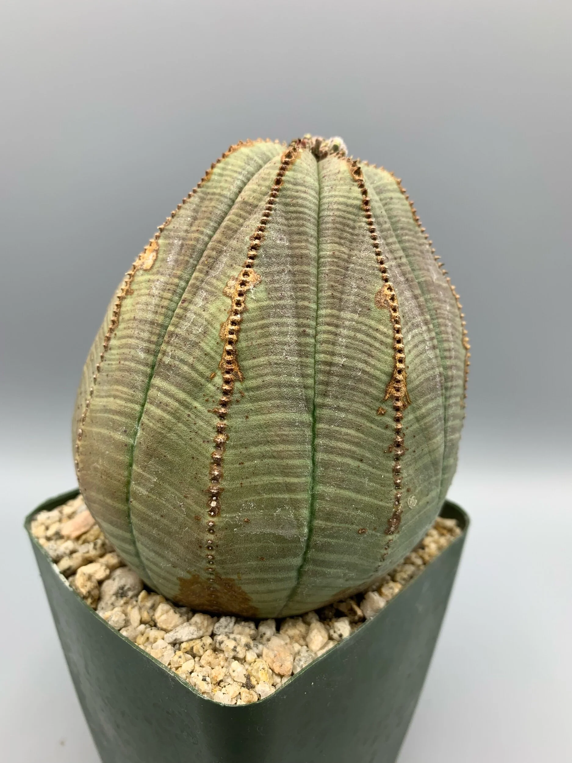 C74E7191-8F41-4EED-9EDF-4B09DDF26760