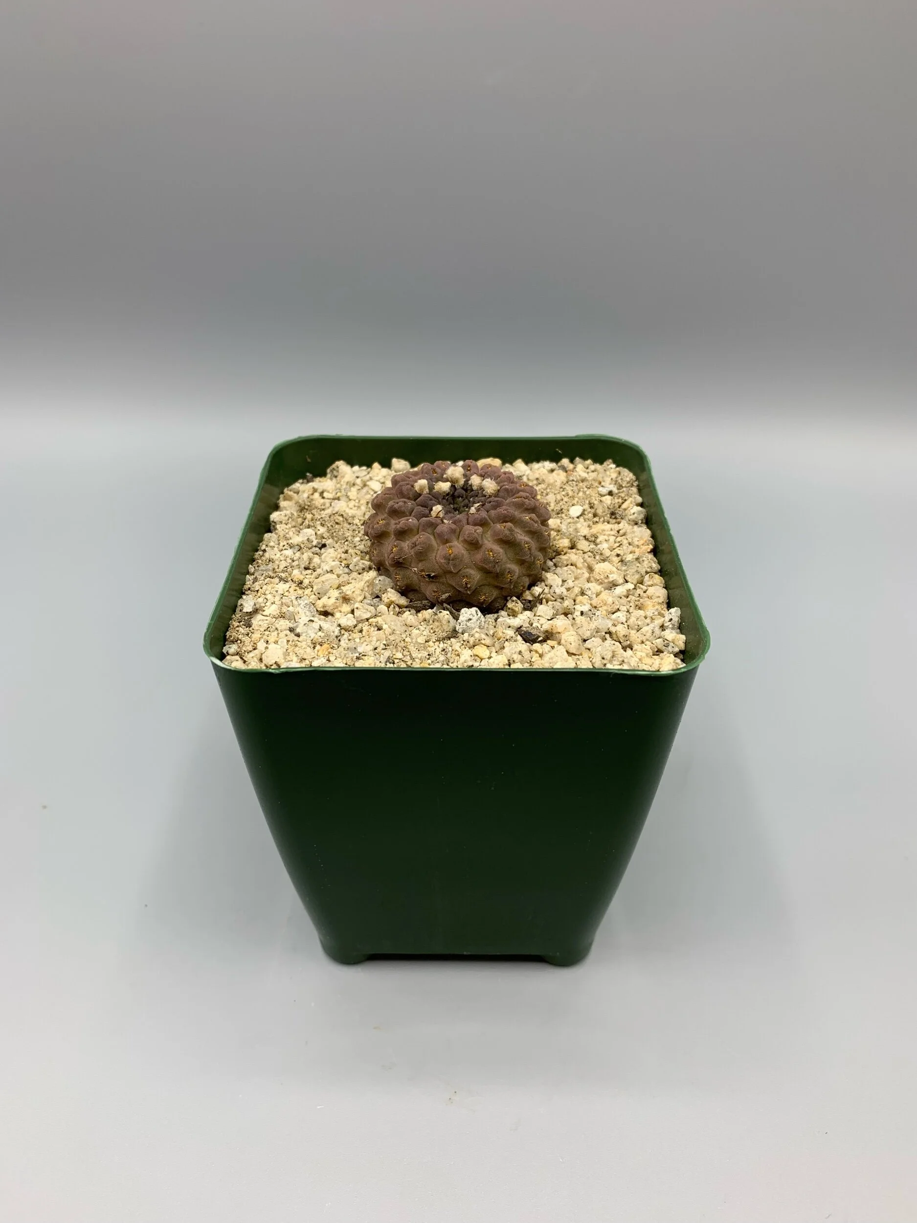 08A9BD2F-B75D-4308-B7A4-09BAA44414E7