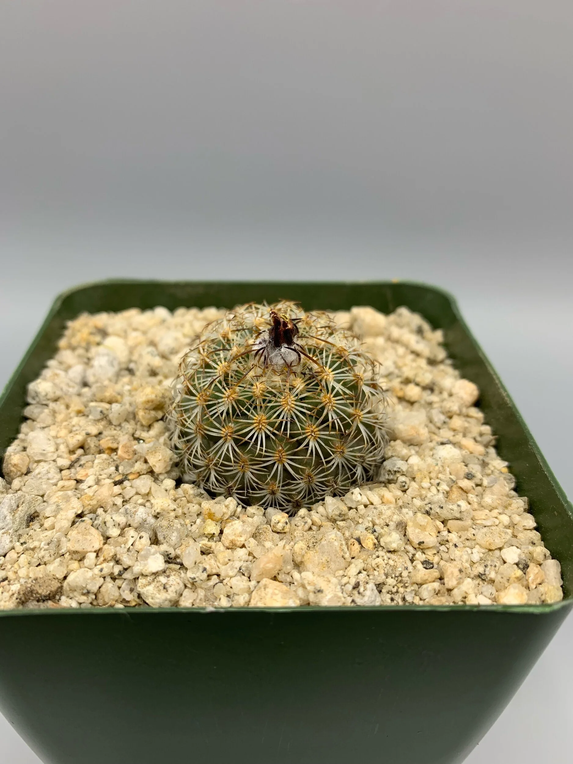 818CF843-AEA6-4235-A822-53161191B39E