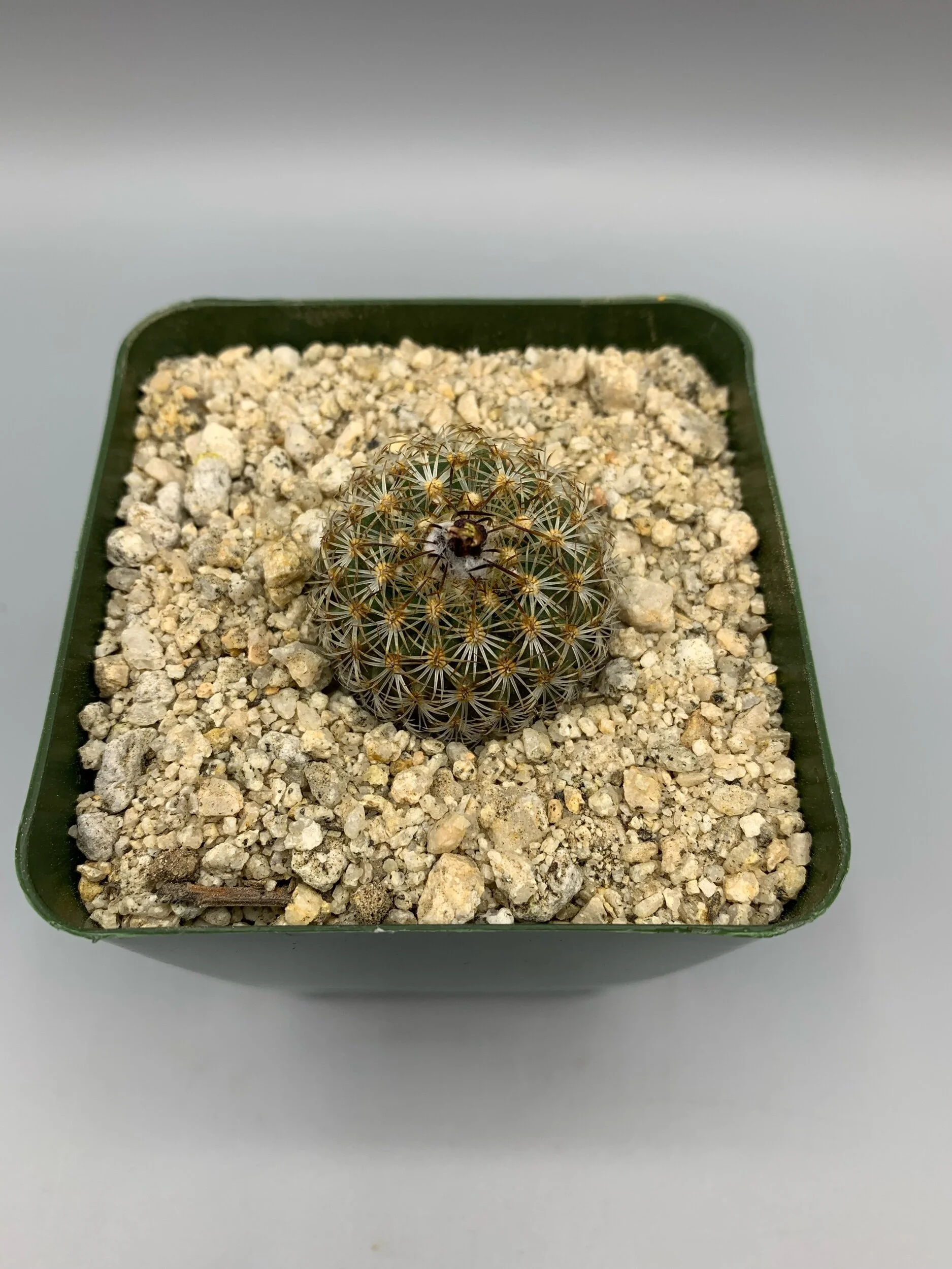 232FF839-3FF4-4EF3-8C3F-EEA366A42DBA