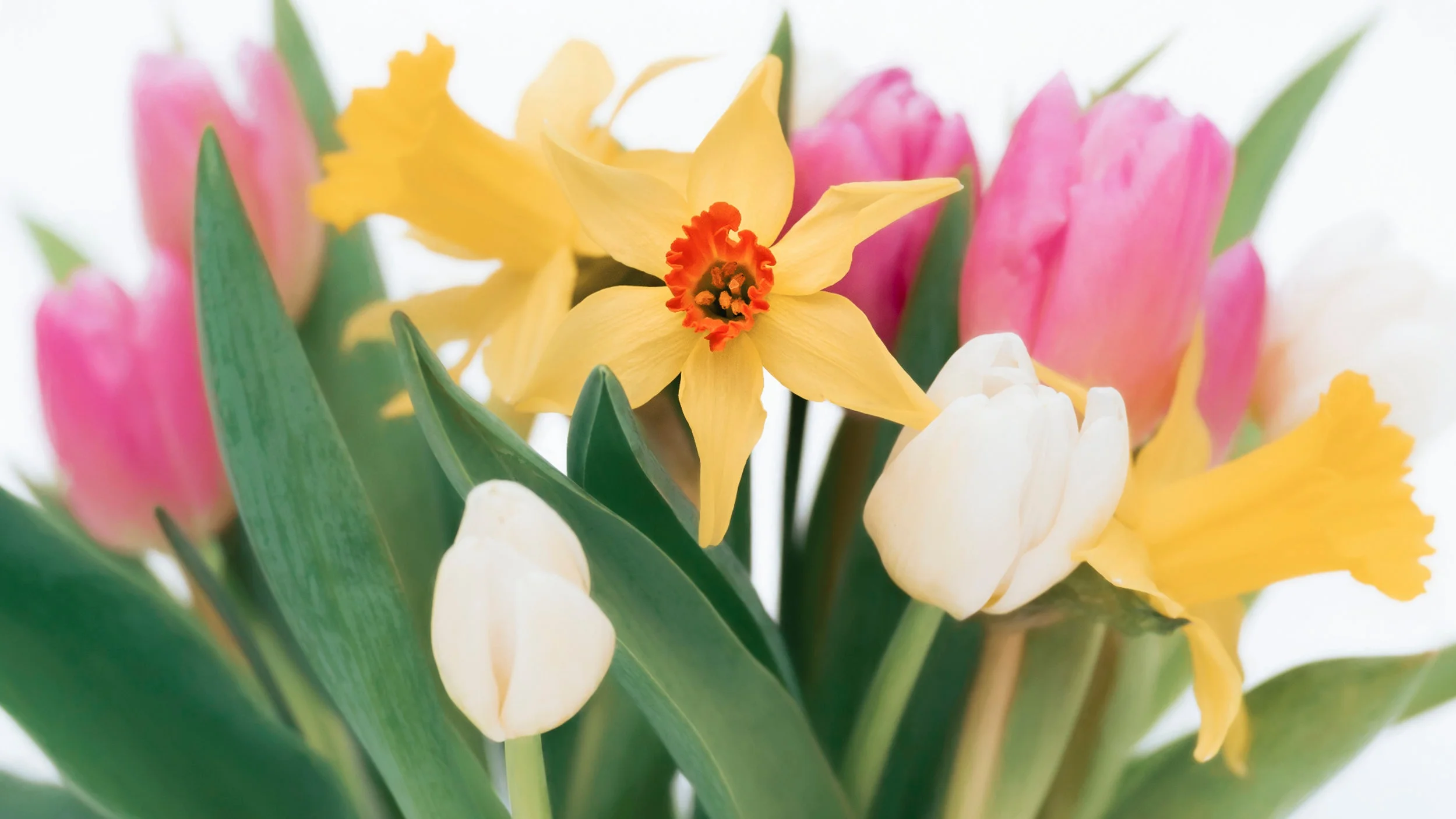 2019 Altar Flower Calendar now available